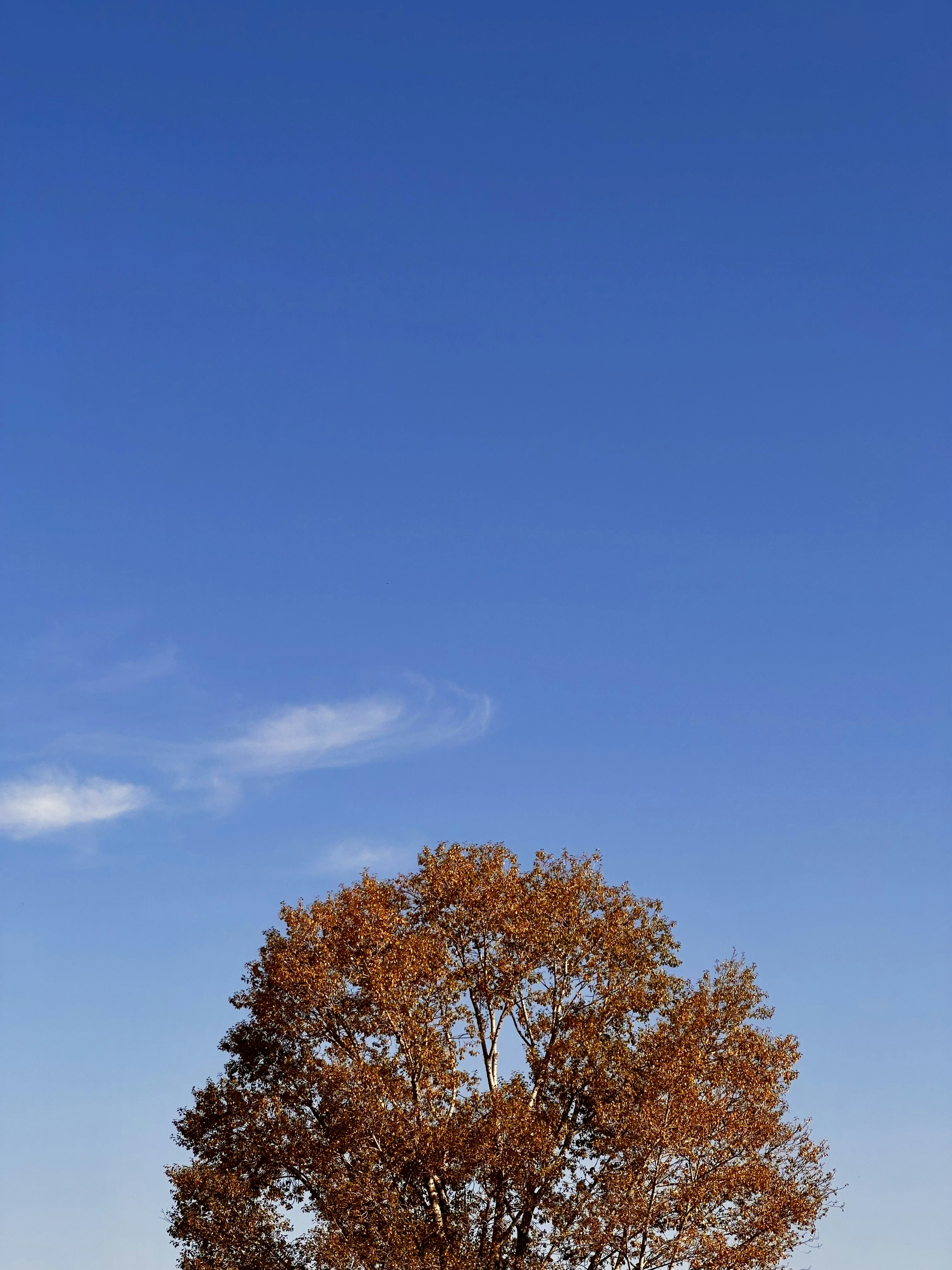 Photo by doublez0108