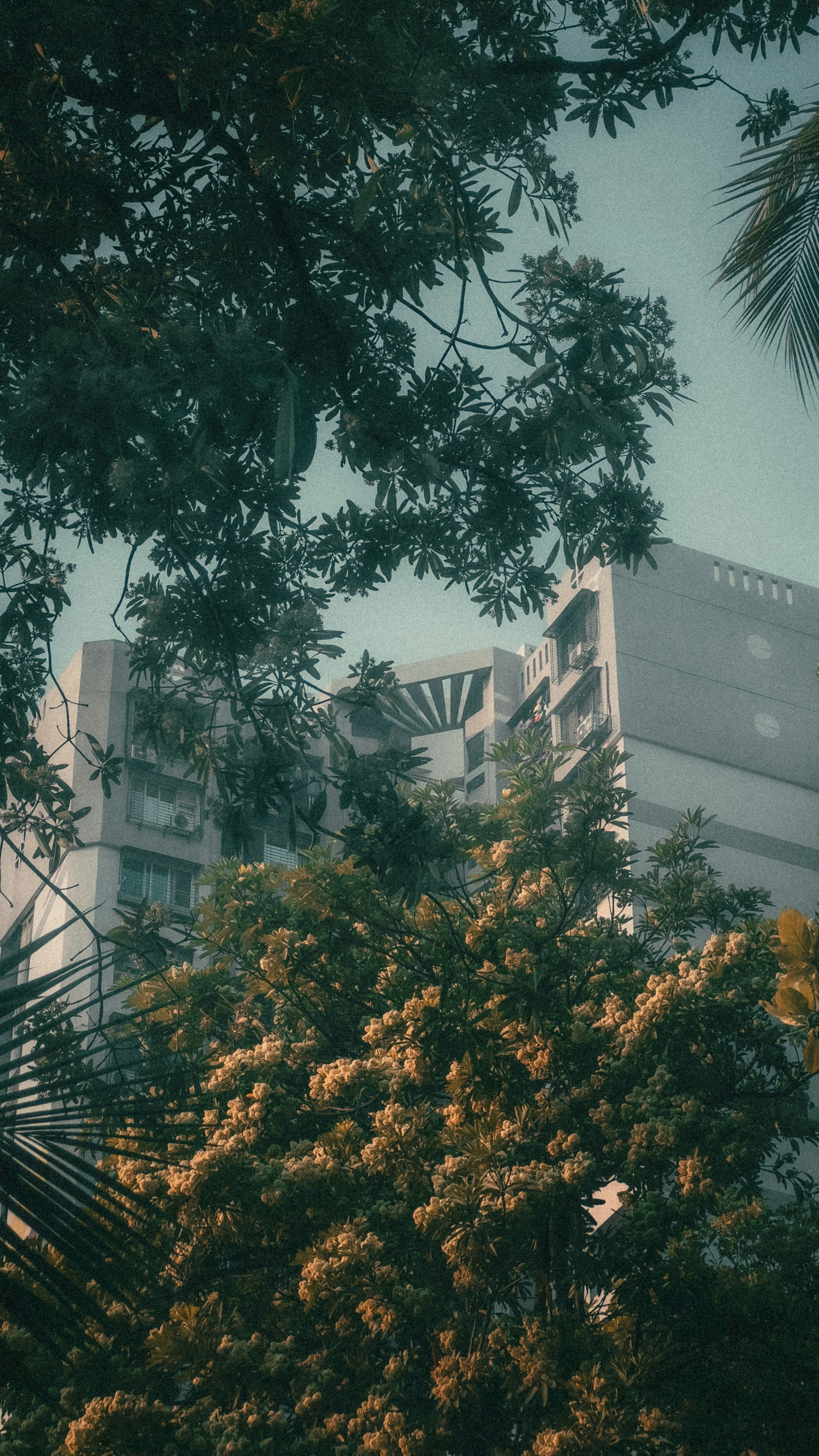 Photo by wondereggperson