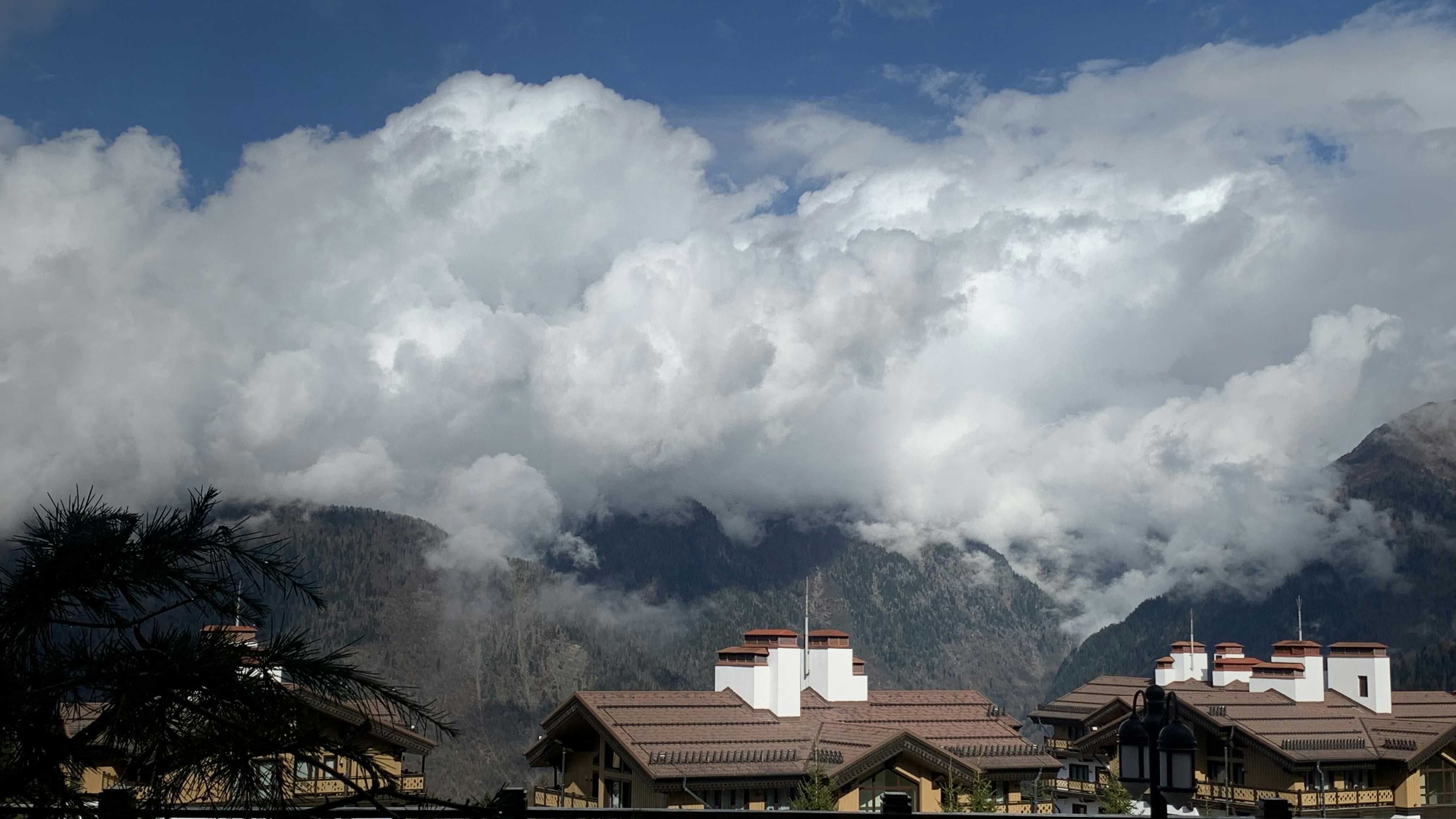 Photo by webdrawcolors