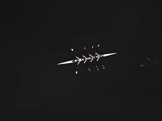 a black and white photo of a plane in the sky