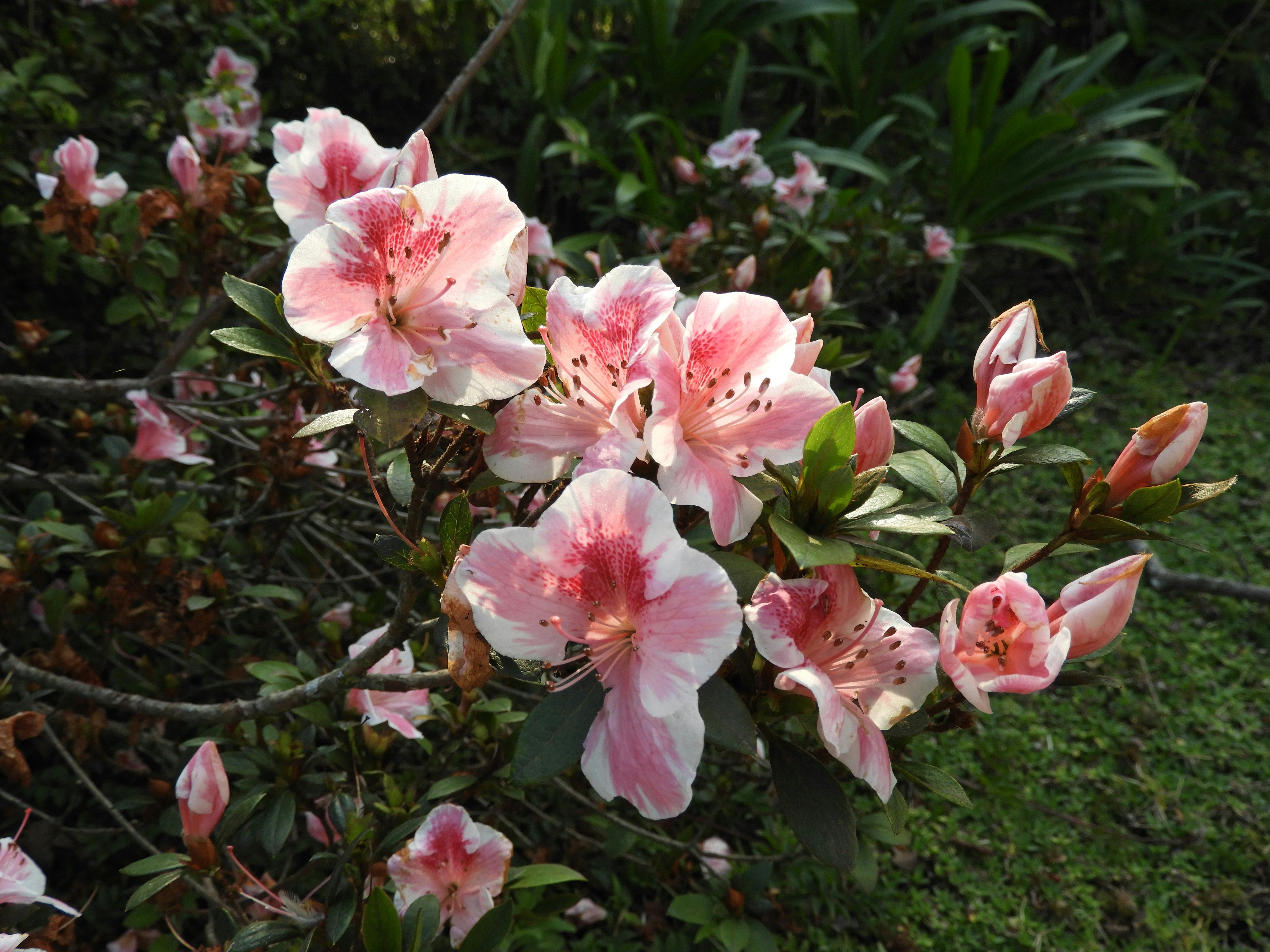 Photo by lyssa_elliott