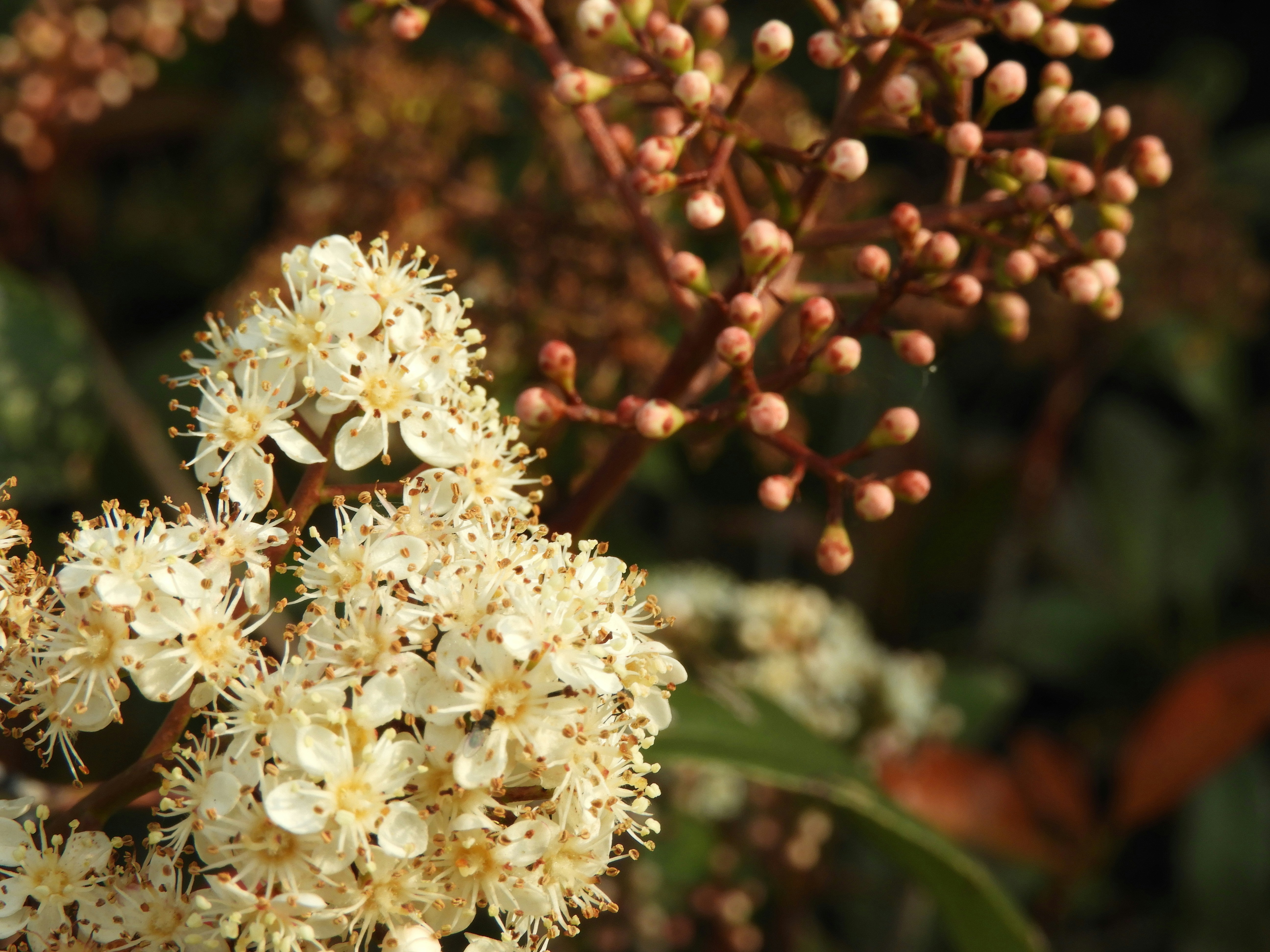 Photo by lyssa_elliott