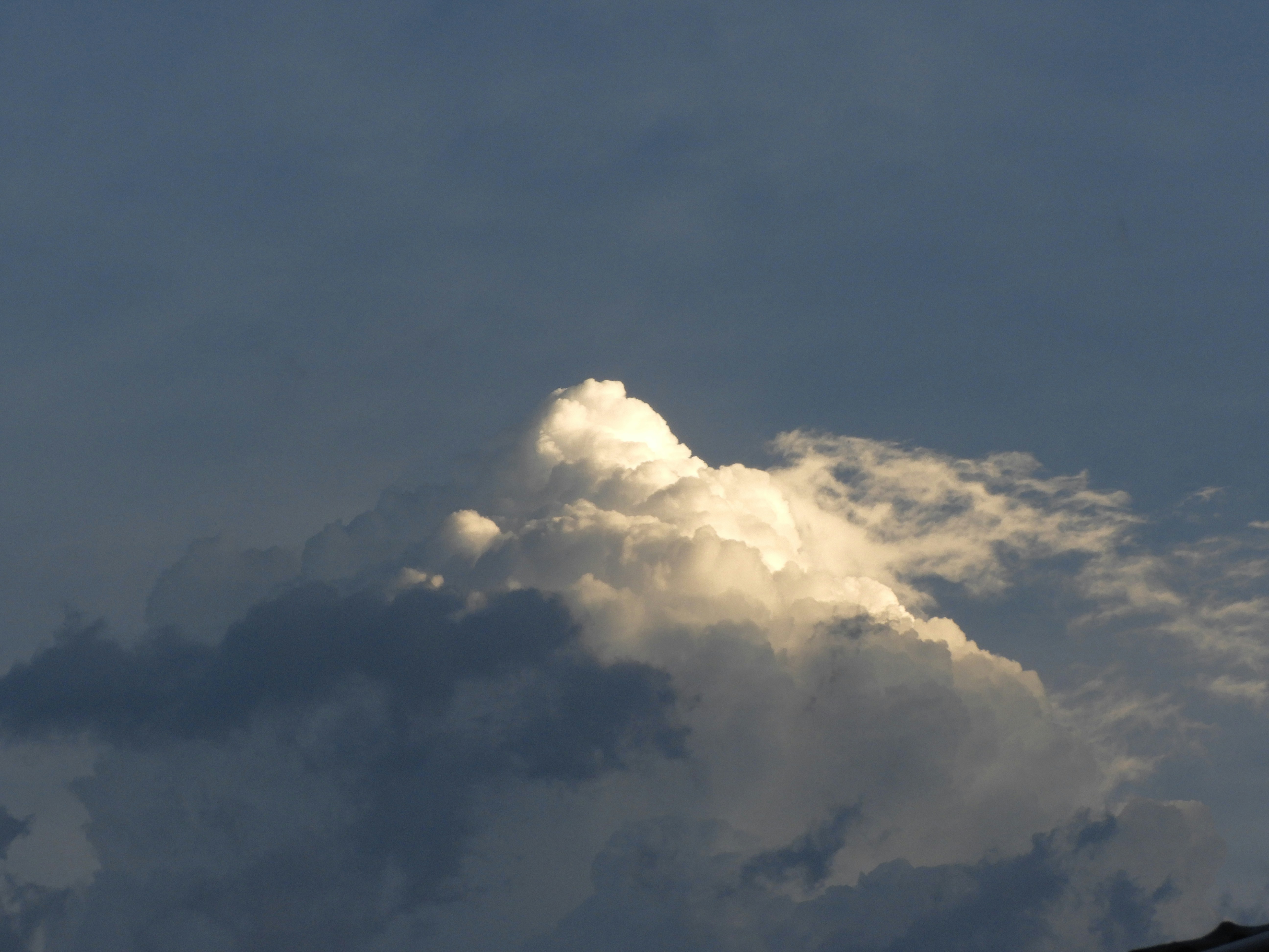 Photo by lyssa_elliott