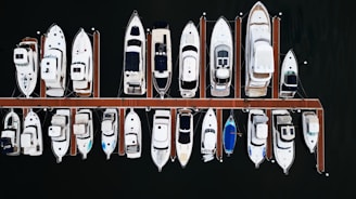 a bunch of boats that are sitting in the water