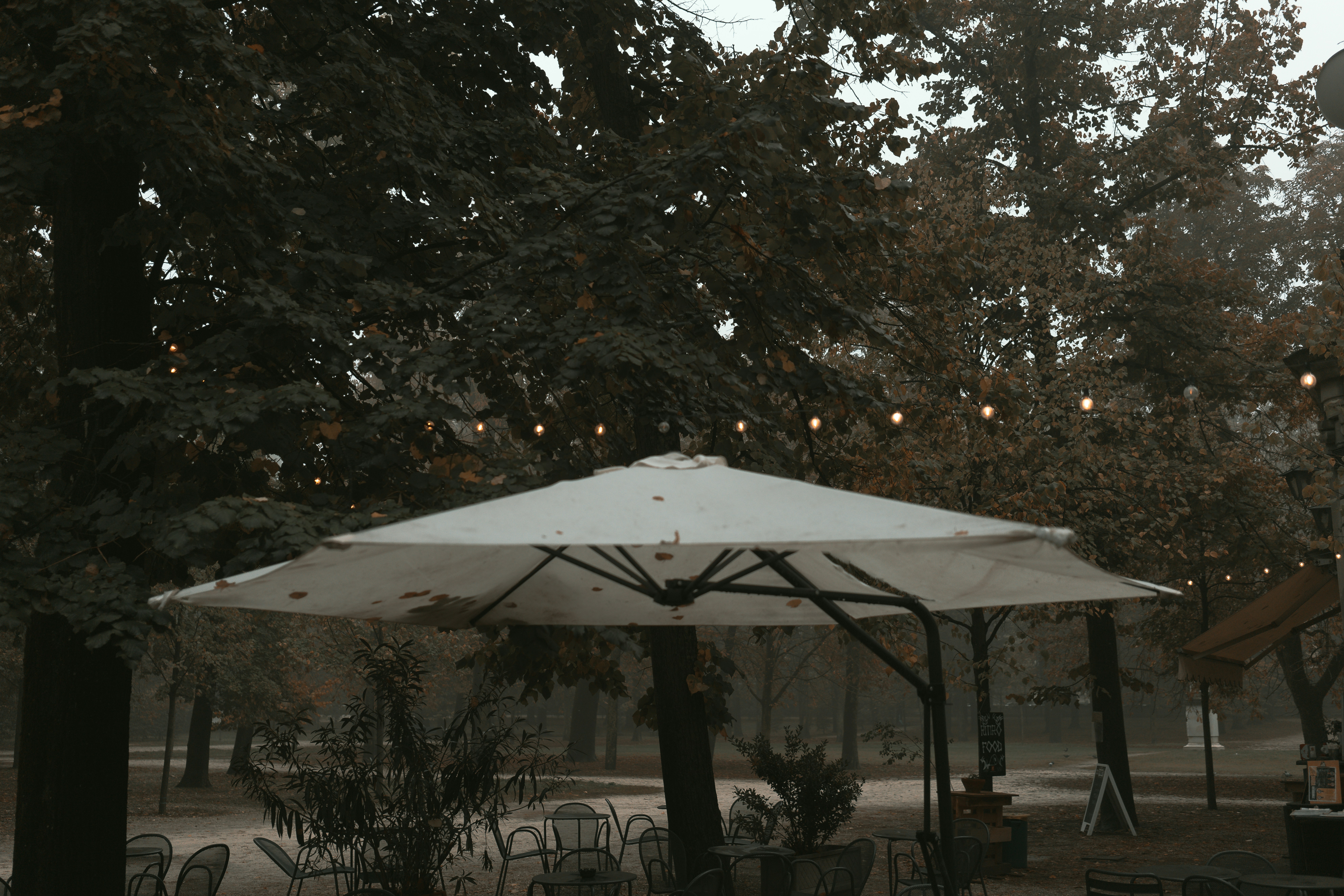 frosted forest snow, winter wedding decor, ilustrasi artikel Enchanting Winter Wedding Decor: Create Your Own Winter Wonderland 3