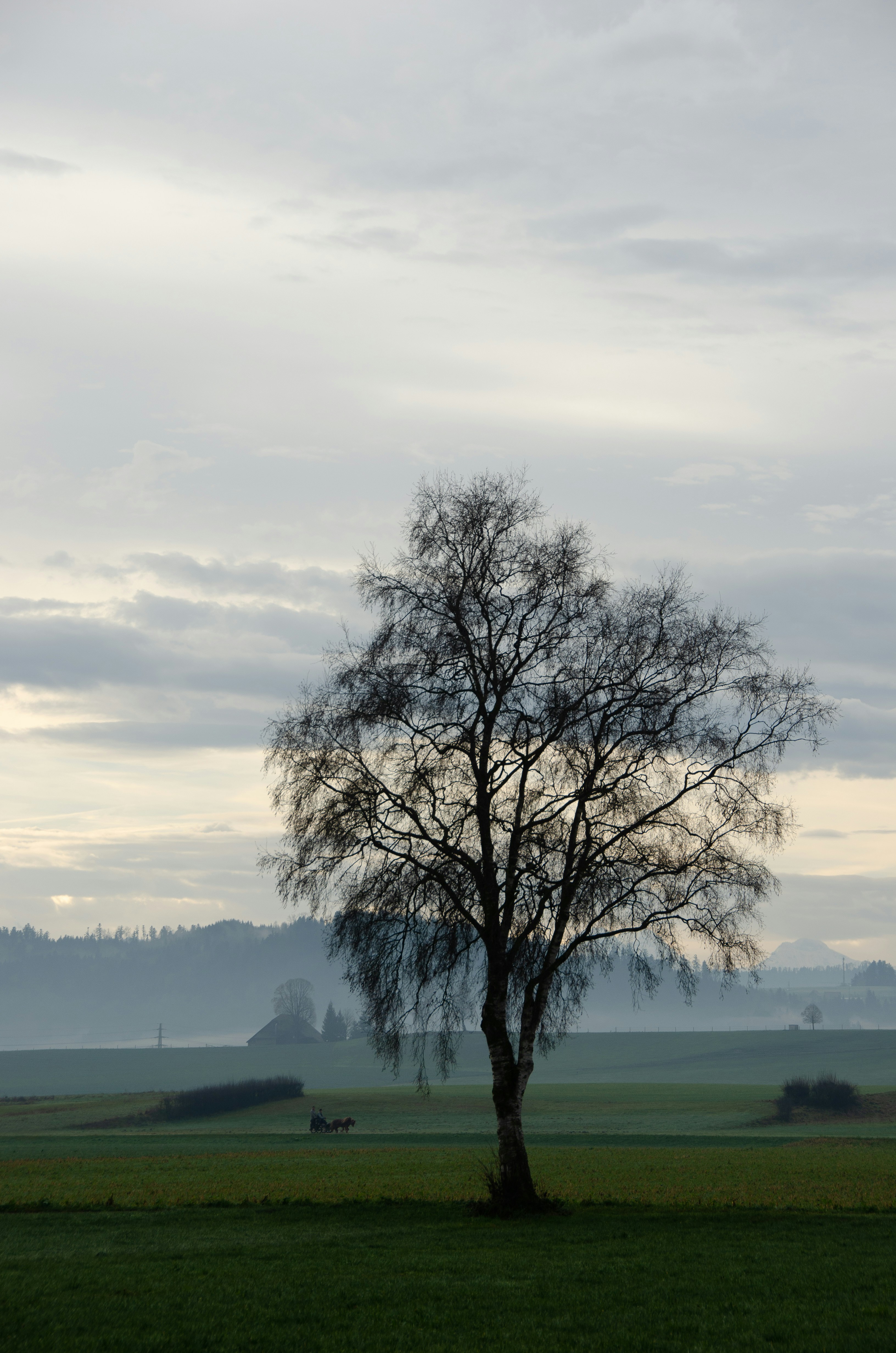 Photo by nadine3
