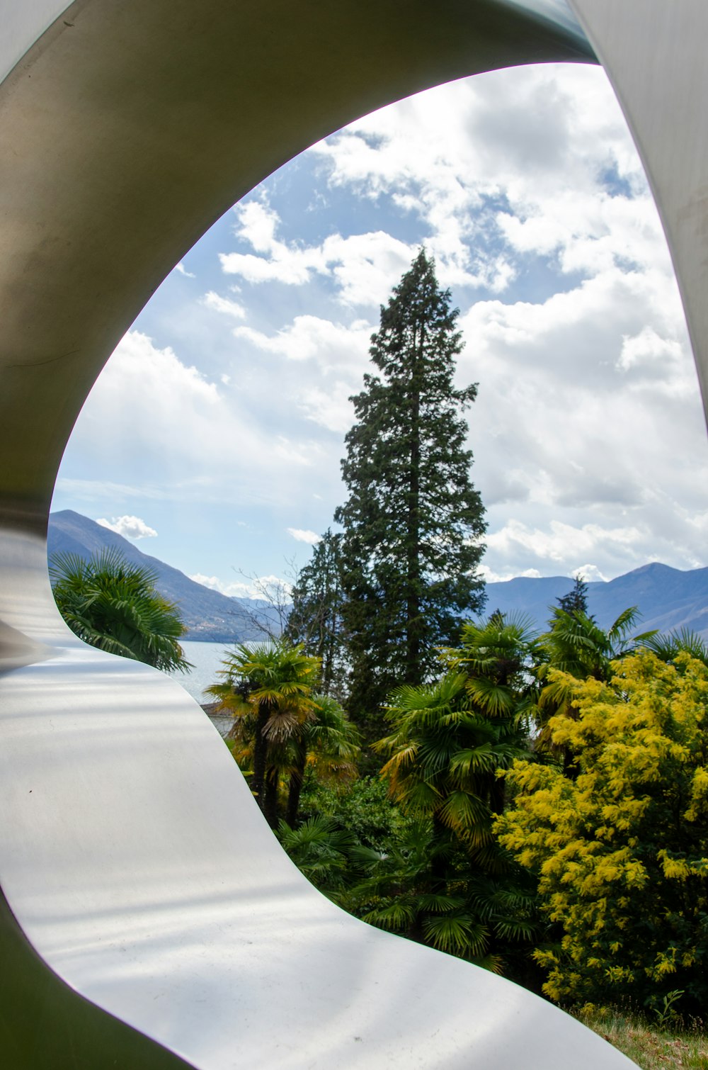 a view of a tree from inside a sculpture