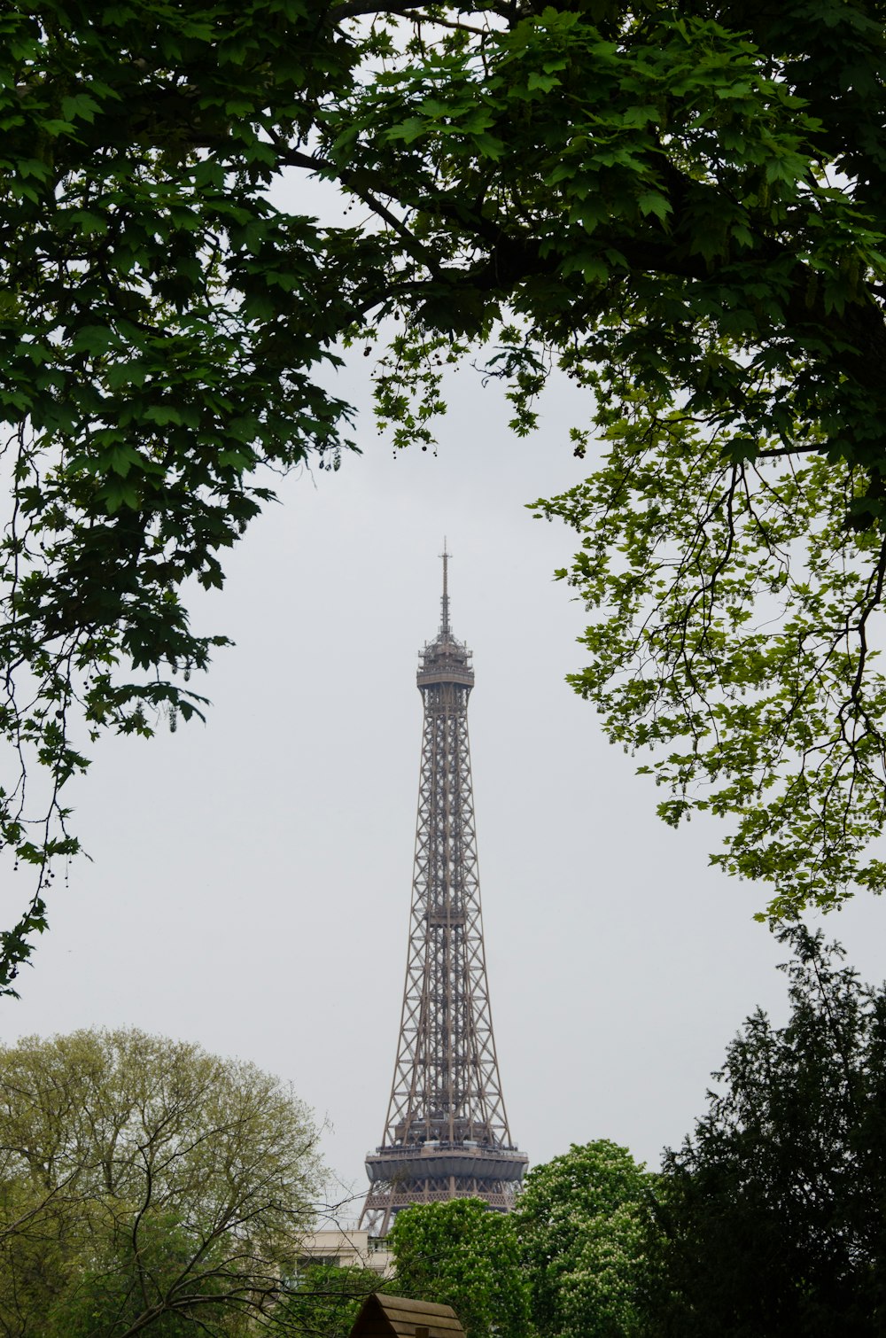 a view of the eiffel tower through some trees
