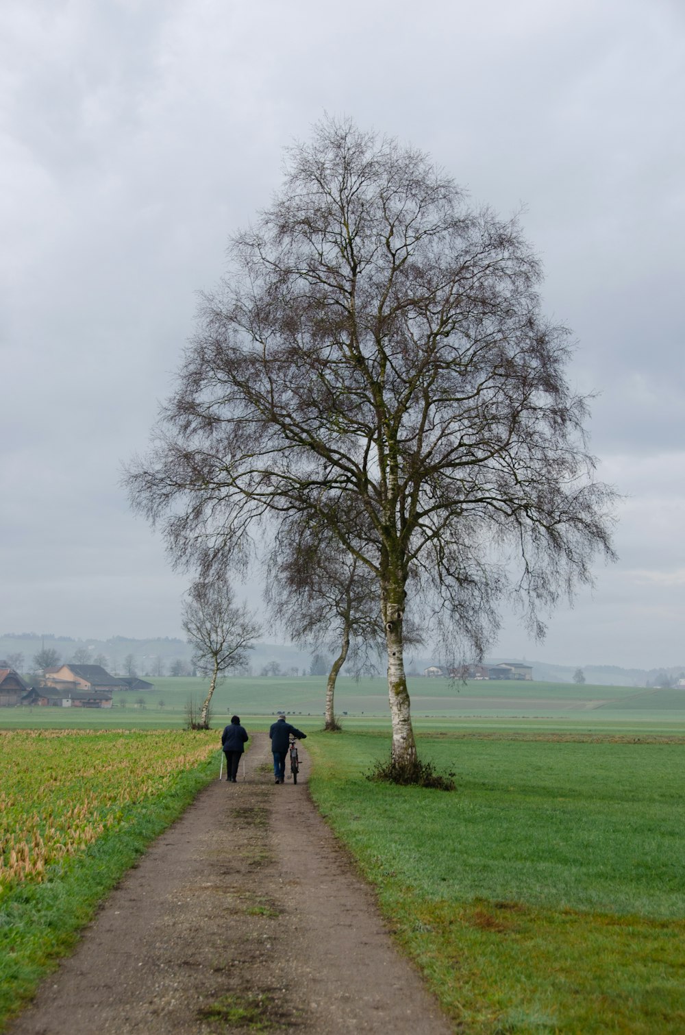 a couple of people walking down a dirt road