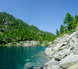 A serene view of the 7 Rila Lakes reflecting the clear blue sky surrounded by pine forests.
