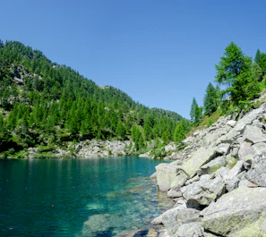 A serene view of the 7 Rila Lakes reflecting the clear blue sky surrounded by pine forests.