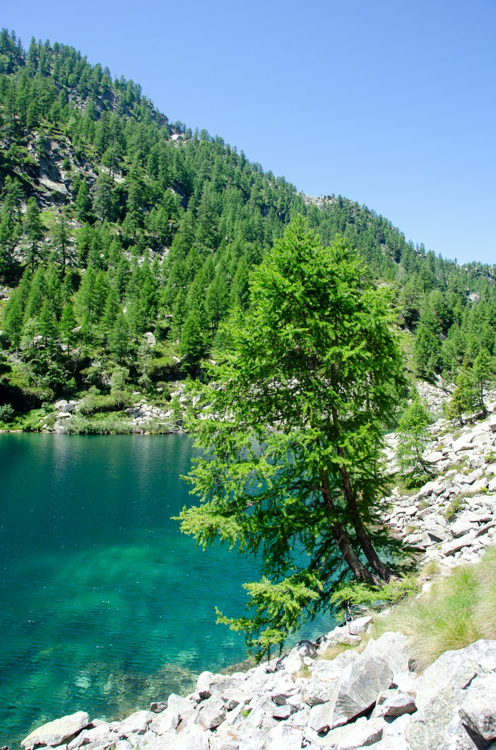 a large body of water surrounded by rocks and trees