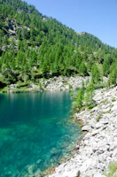 A serene mountain lake reflecting the clear blue sky and surrounding pine trees.
