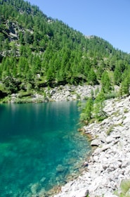 A serene mountain lake reflecting the clear blue sky, surrounded by pine trees and rugged peaks.