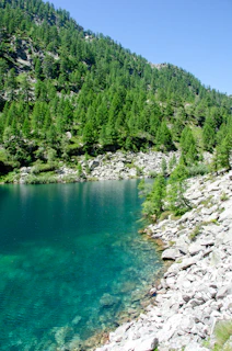 A serene mountain lake reflecting the clear blue sky and surrounding pine trees.
