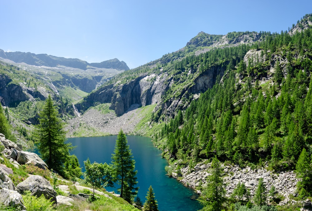 a view of a mountain lake surrounded by trees