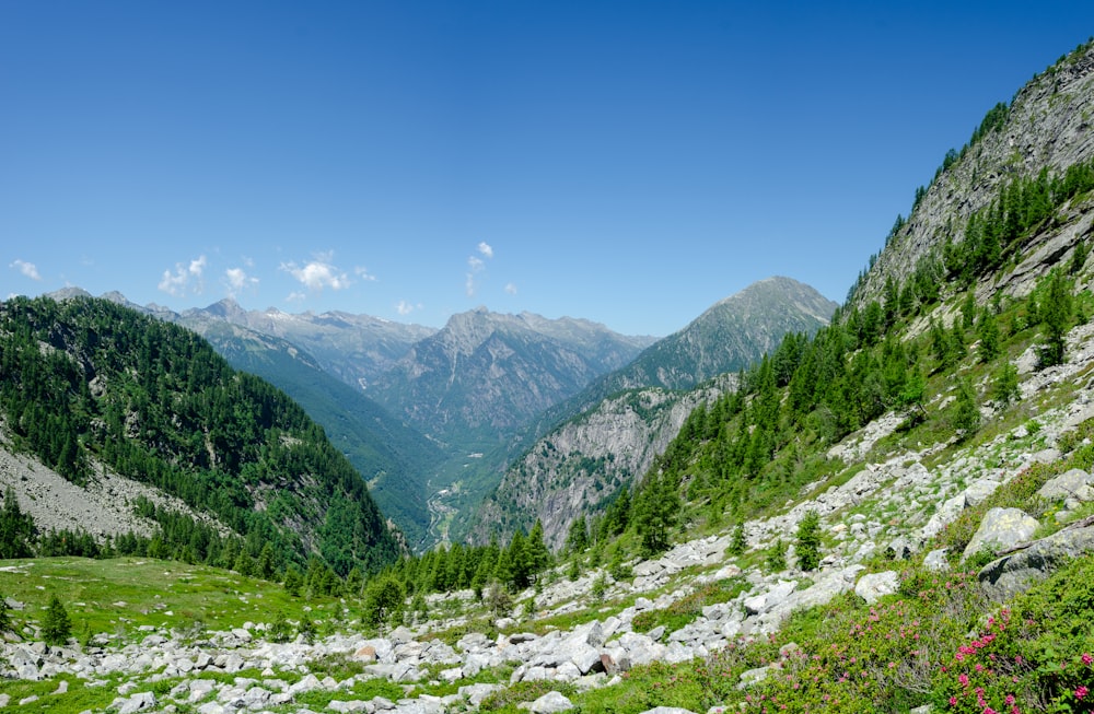 a view of a valley with mountains in the background