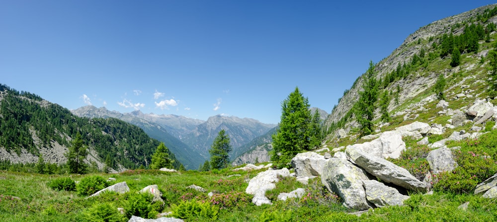 a view of a valley with mountains in the background