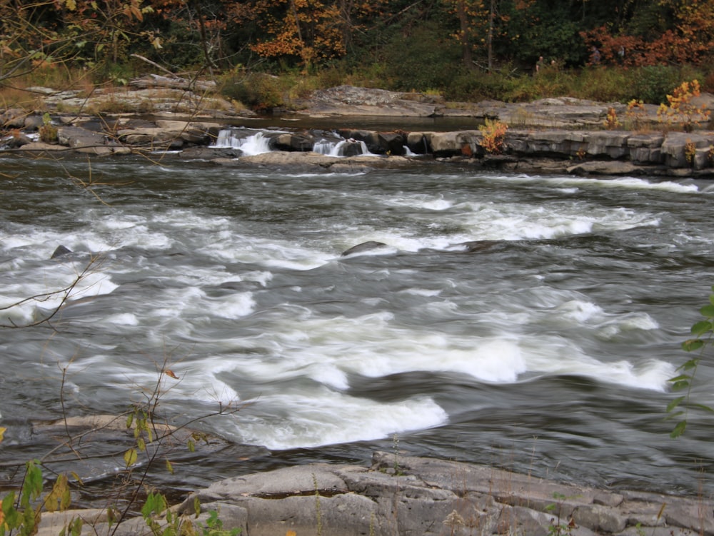 a man standing on a rock next to a river