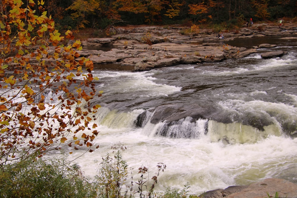 a man standing on a rock next to a river