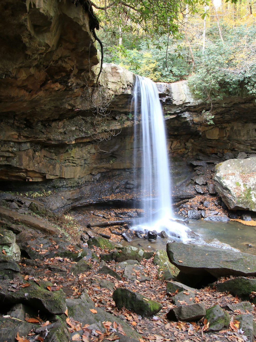 a small waterfall in the middle of a forest