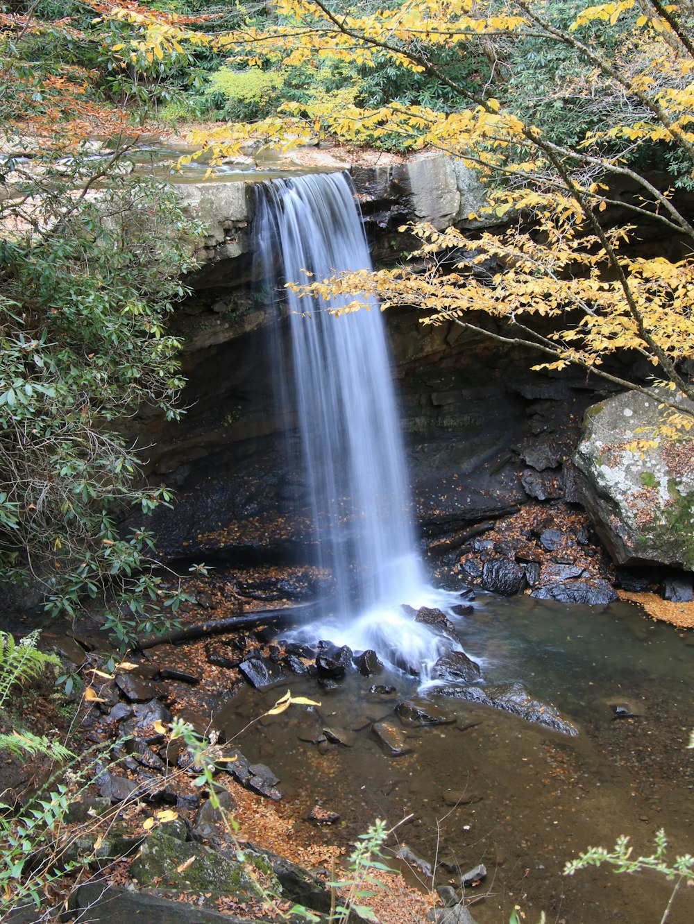 a small waterfall in the middle of a forest