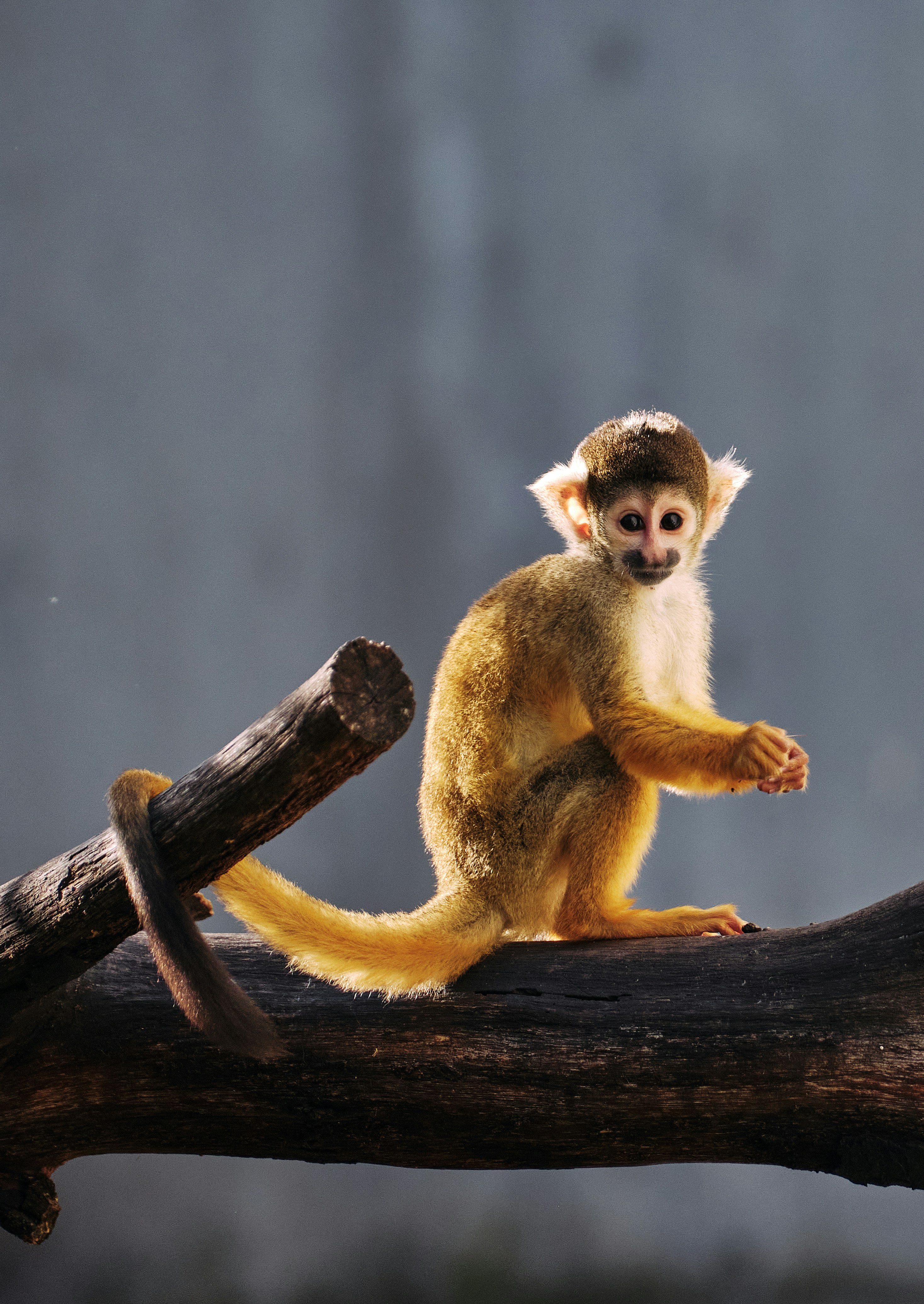 Photo by marcus_ganahl