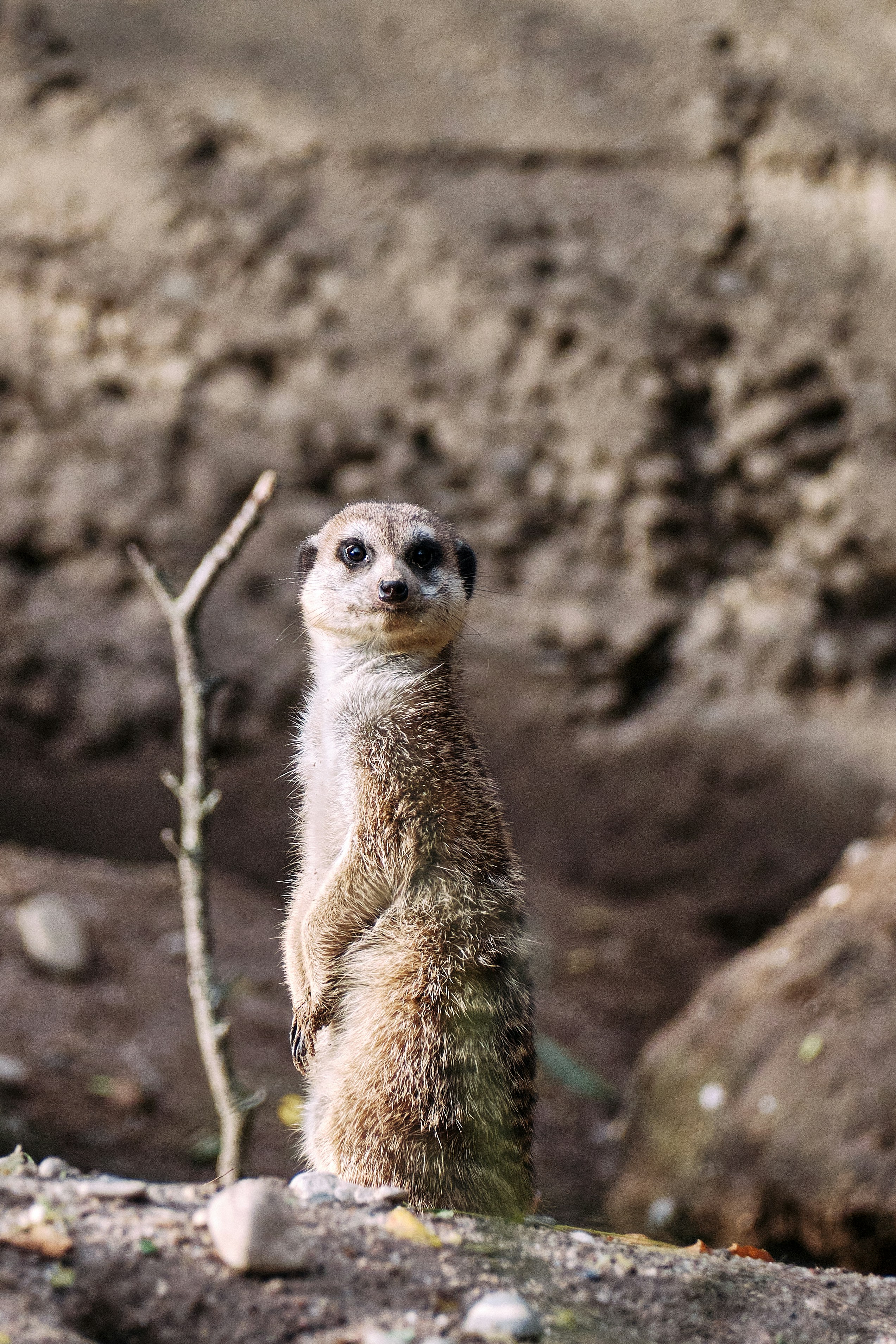 Photo by marcus_ganahl