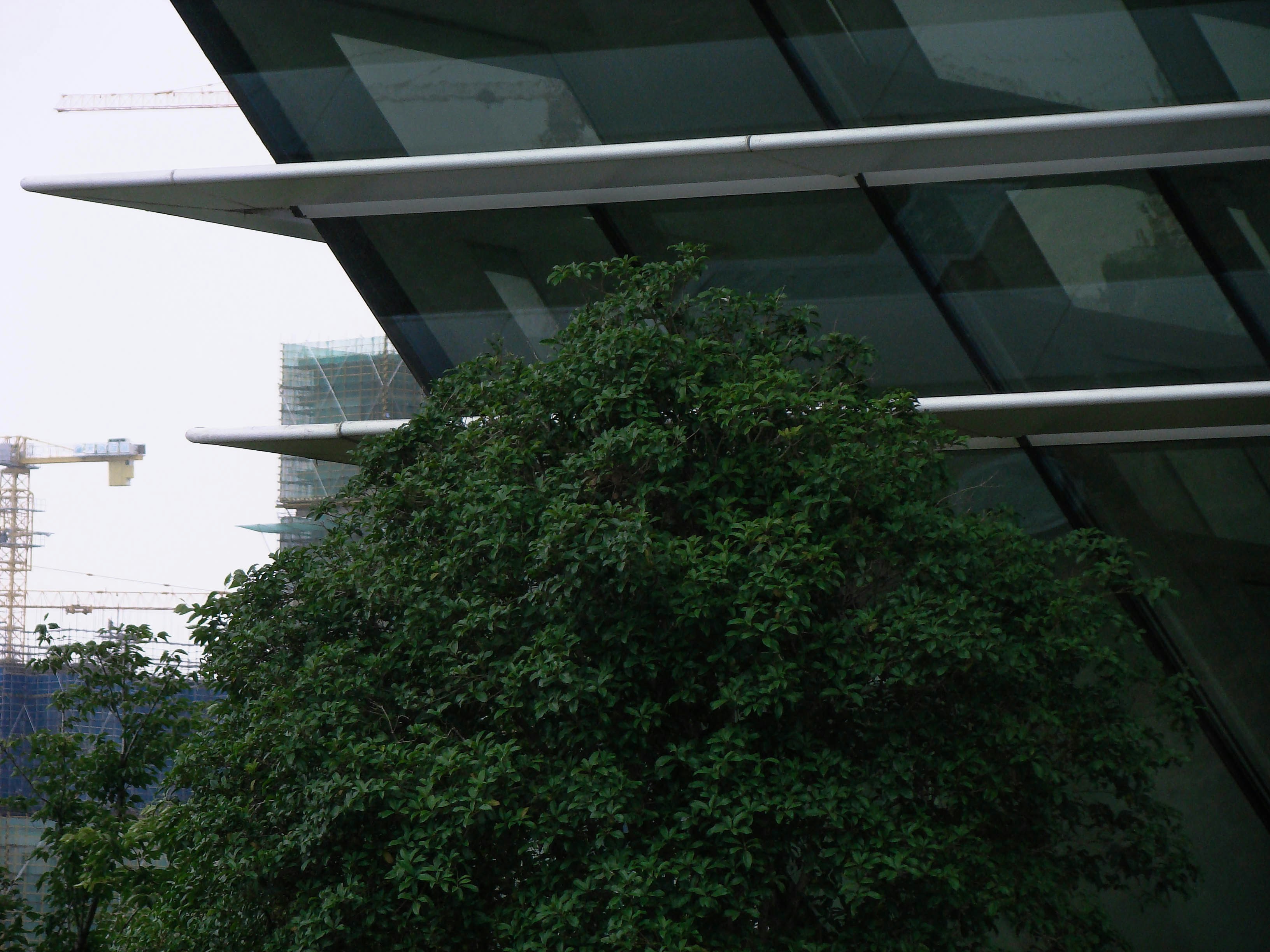 Photo by maro_of_sengu