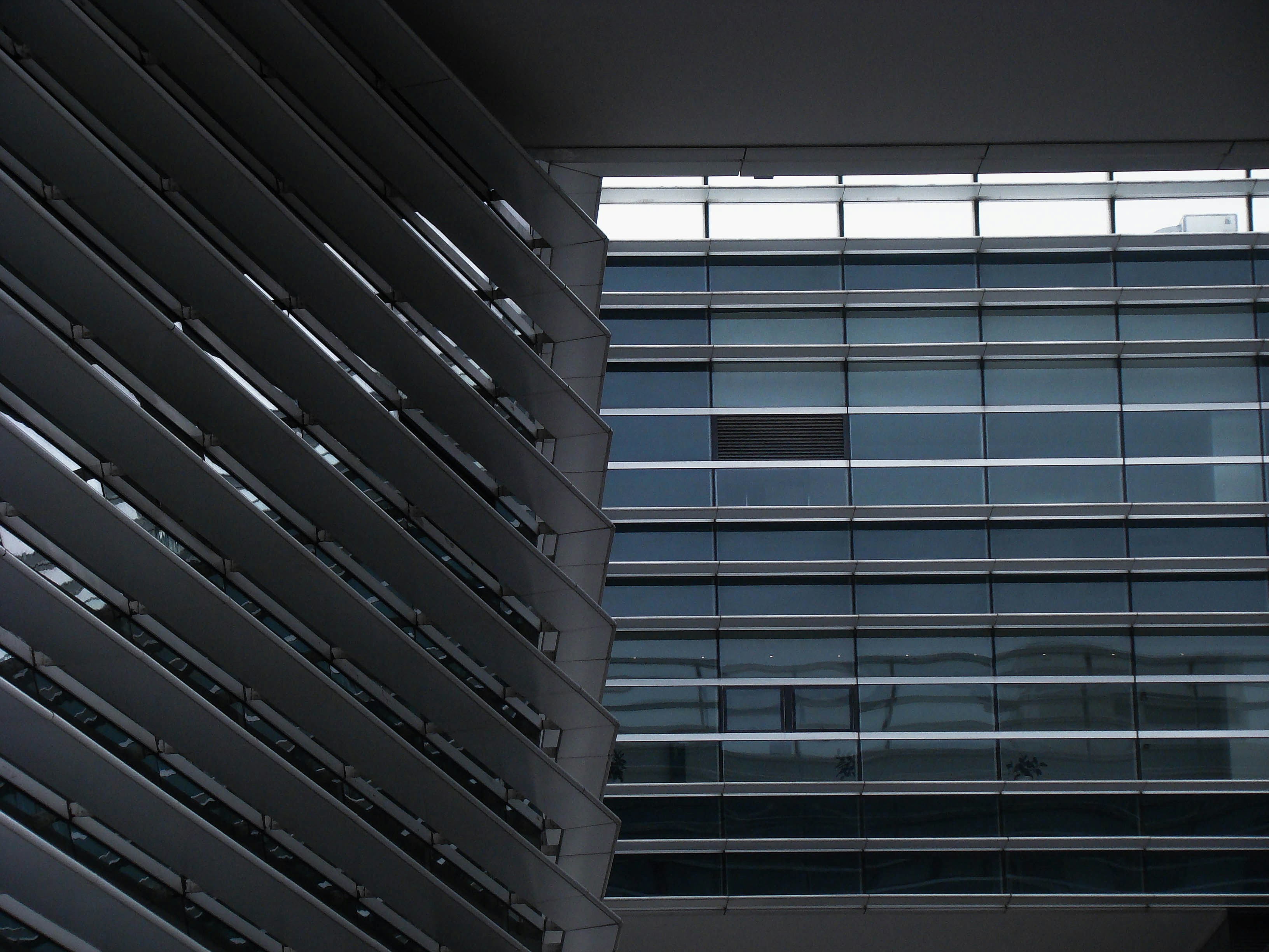 Photo by maro_of_sengu