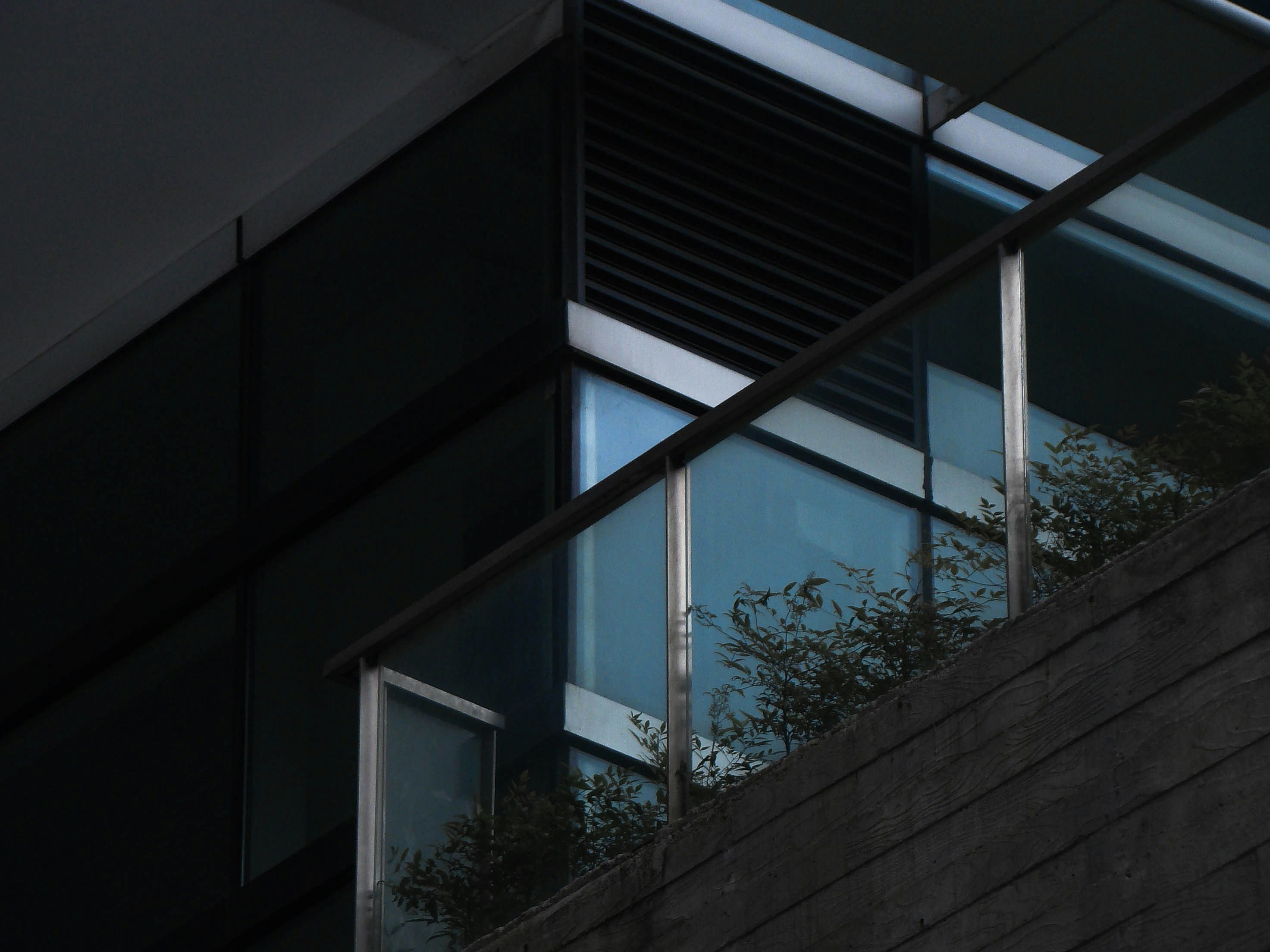 Photo by maro_of_sengu