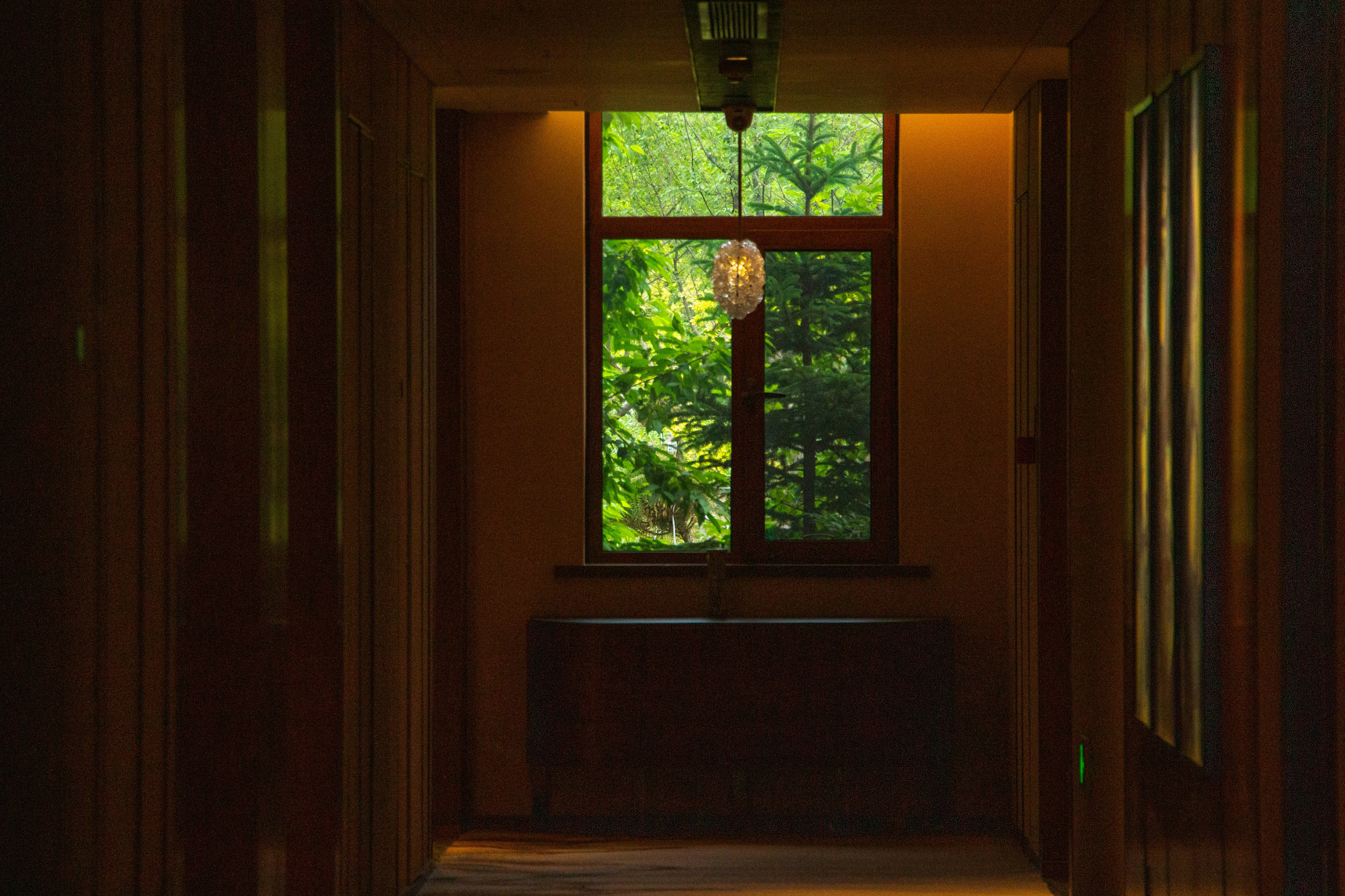 Photo by maro_of_sengu