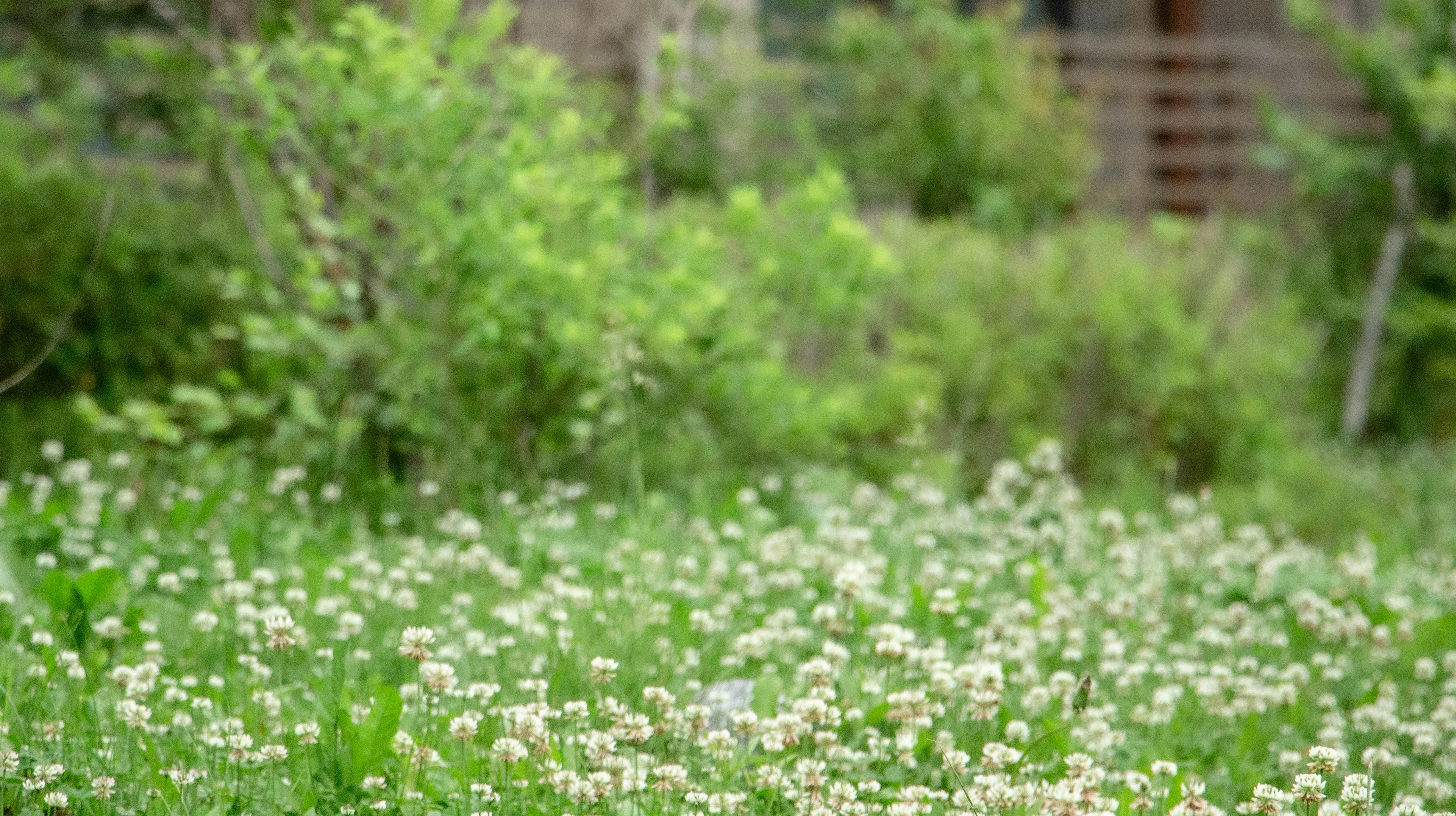 Photo by maro_of_sengu