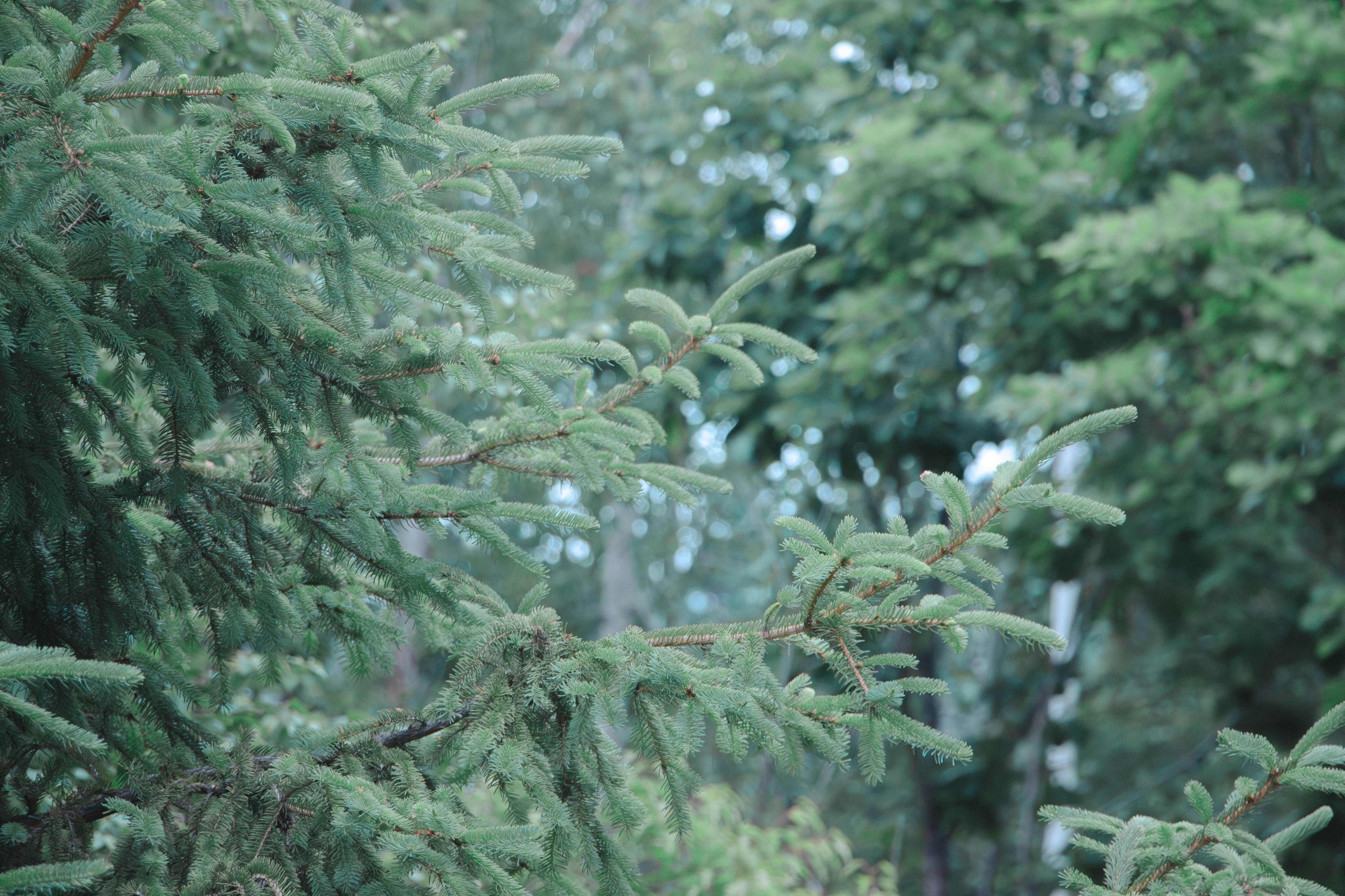 Photo by maro_of_sengu