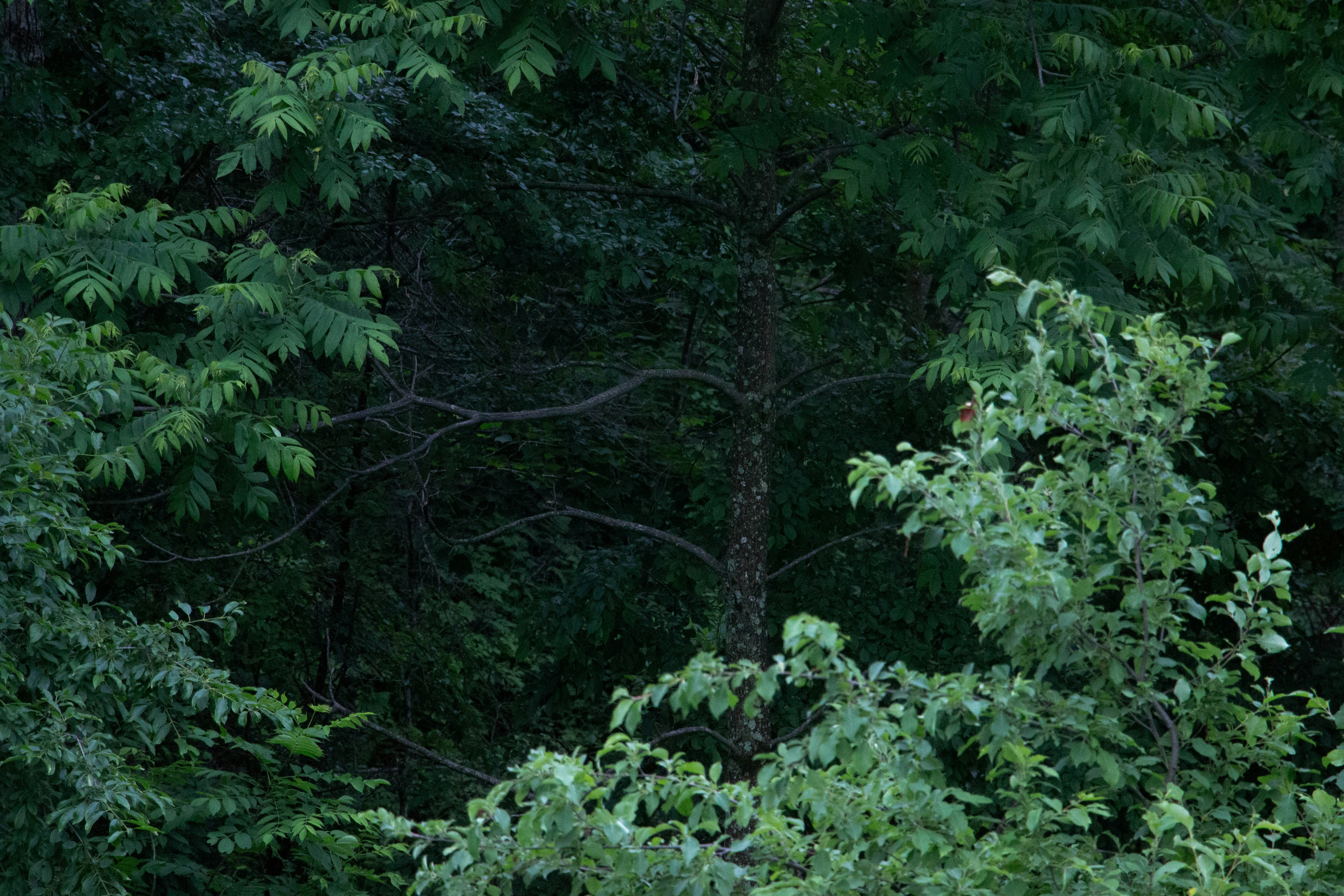 Photo by maro_of_sengu