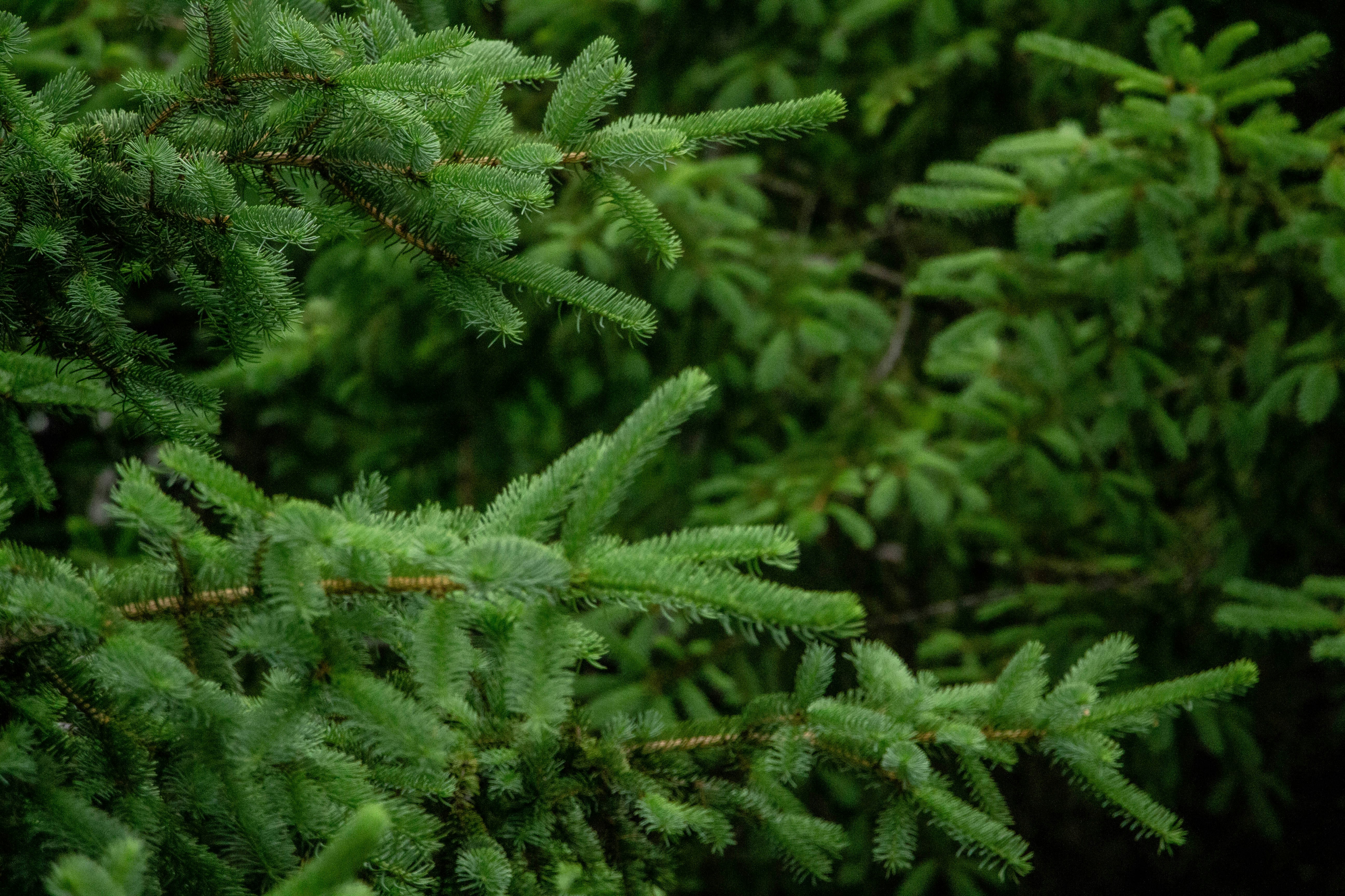 Photo by maro_of_sengu