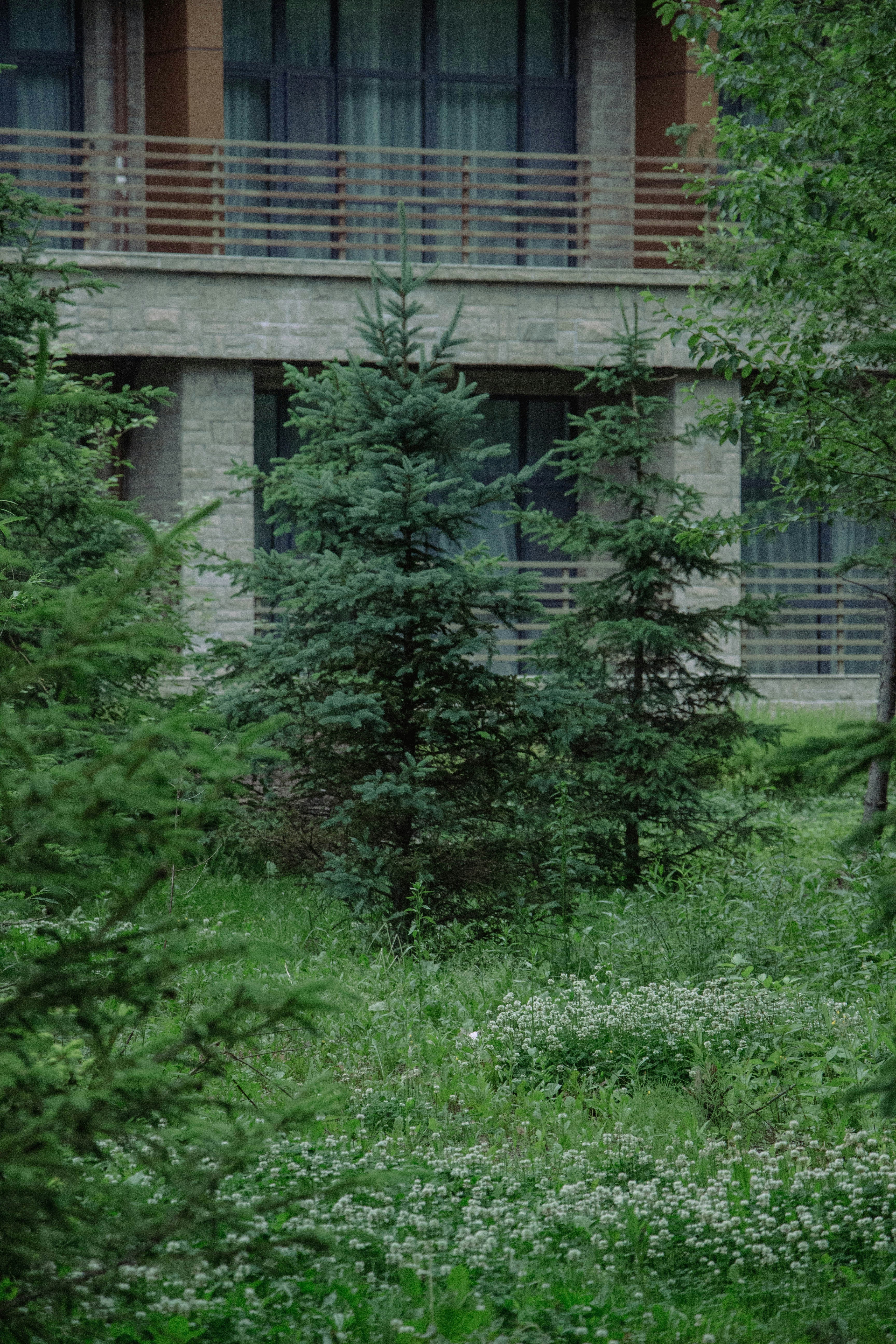 Photo by maro_of_sengu