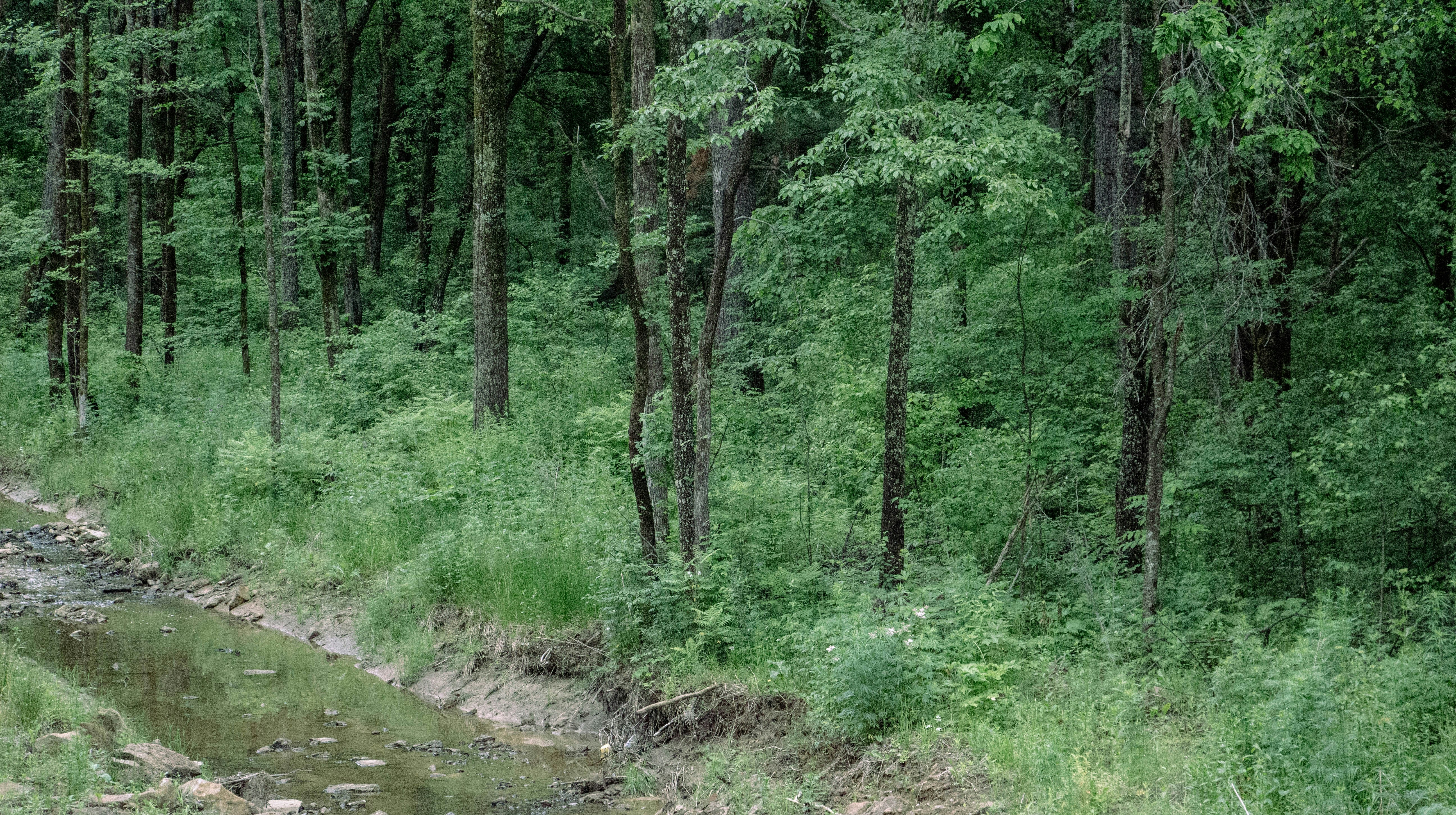 Photo by maro_of_sengu