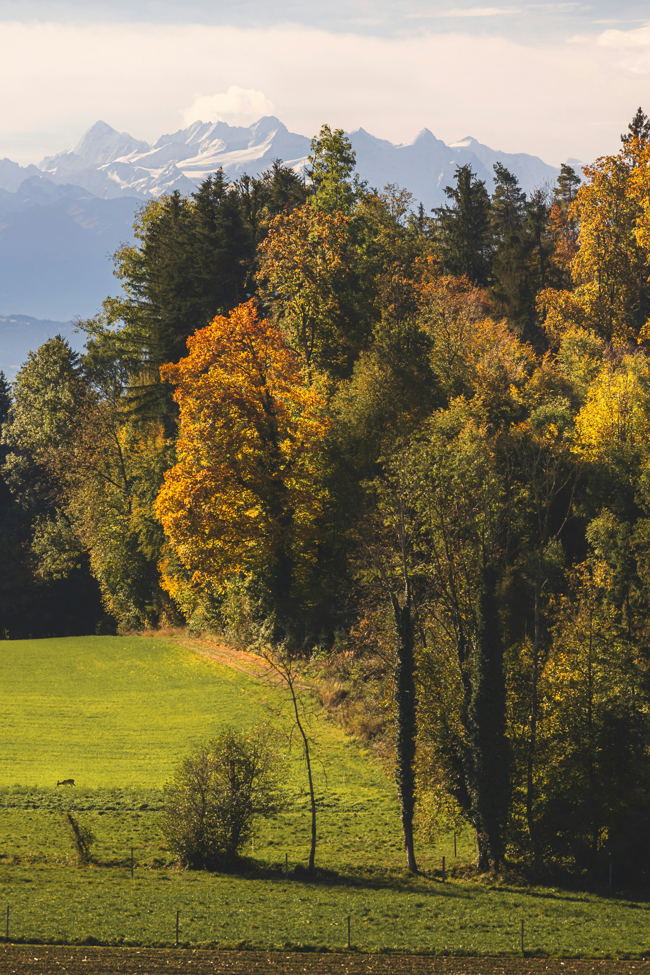 Photo by tomastrajan