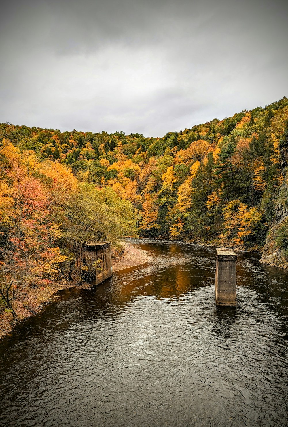 a body of water surrounded by trees in the fall