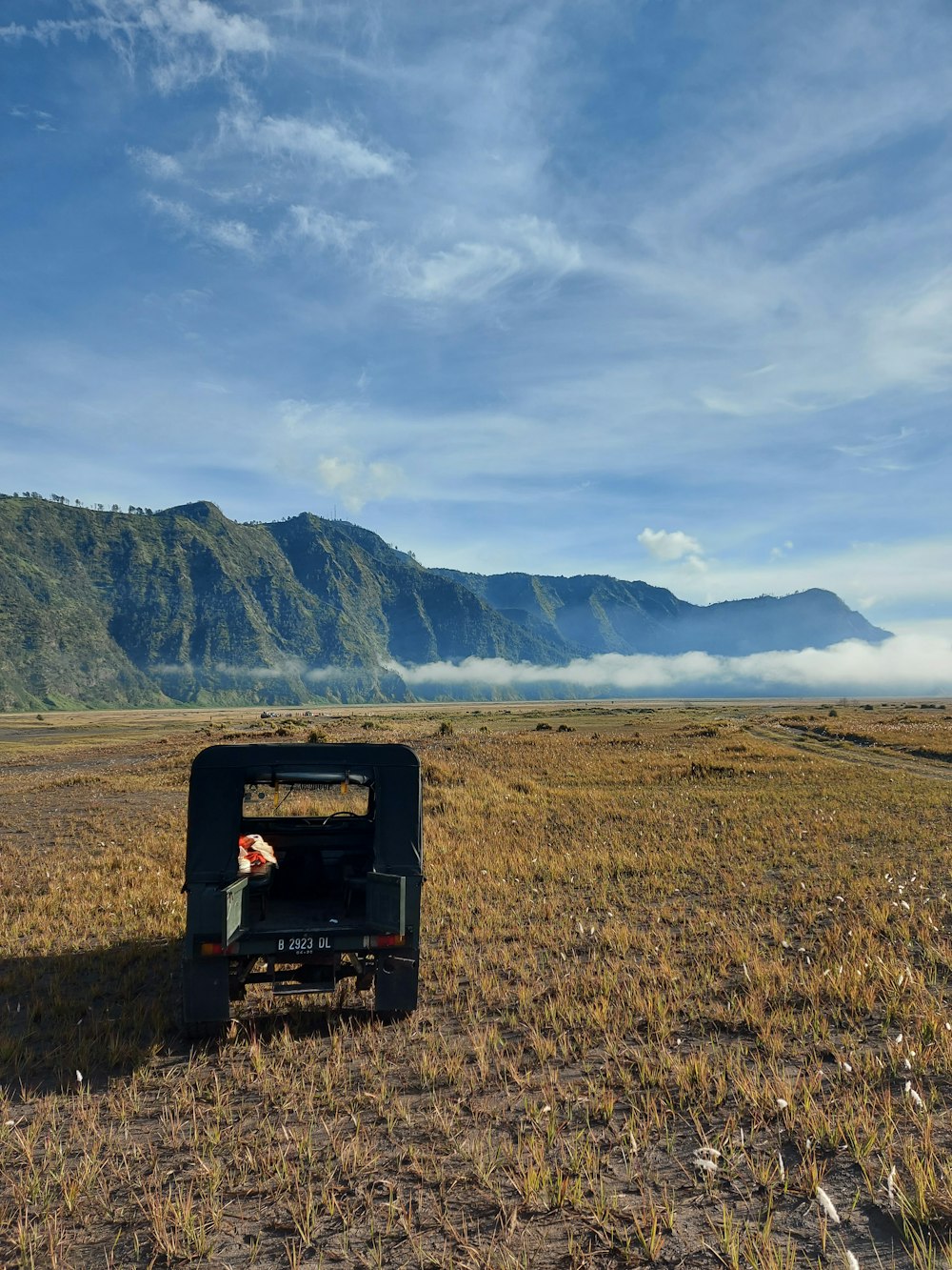 a truck in a field with mountains in the background