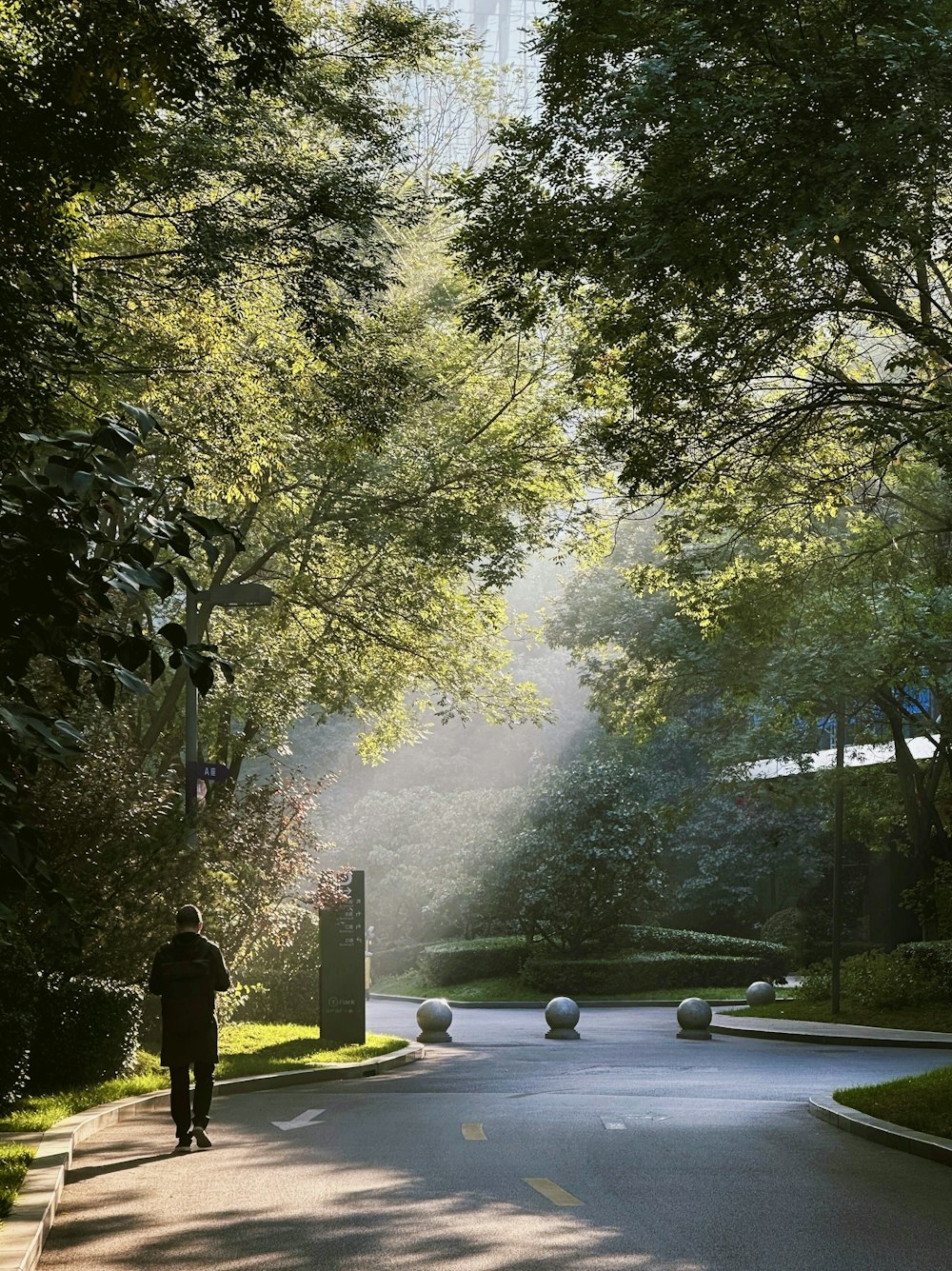 a person walking down a street in the middle of a park