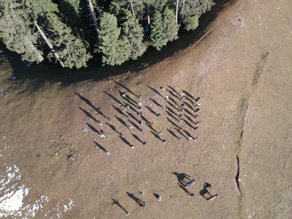 an aerial view of a group of people standing in the middle of a field