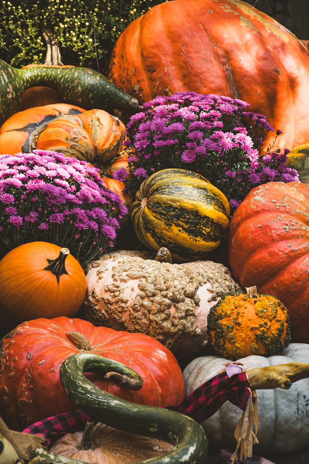 a pile of pumpkins and gourds with purple flowers