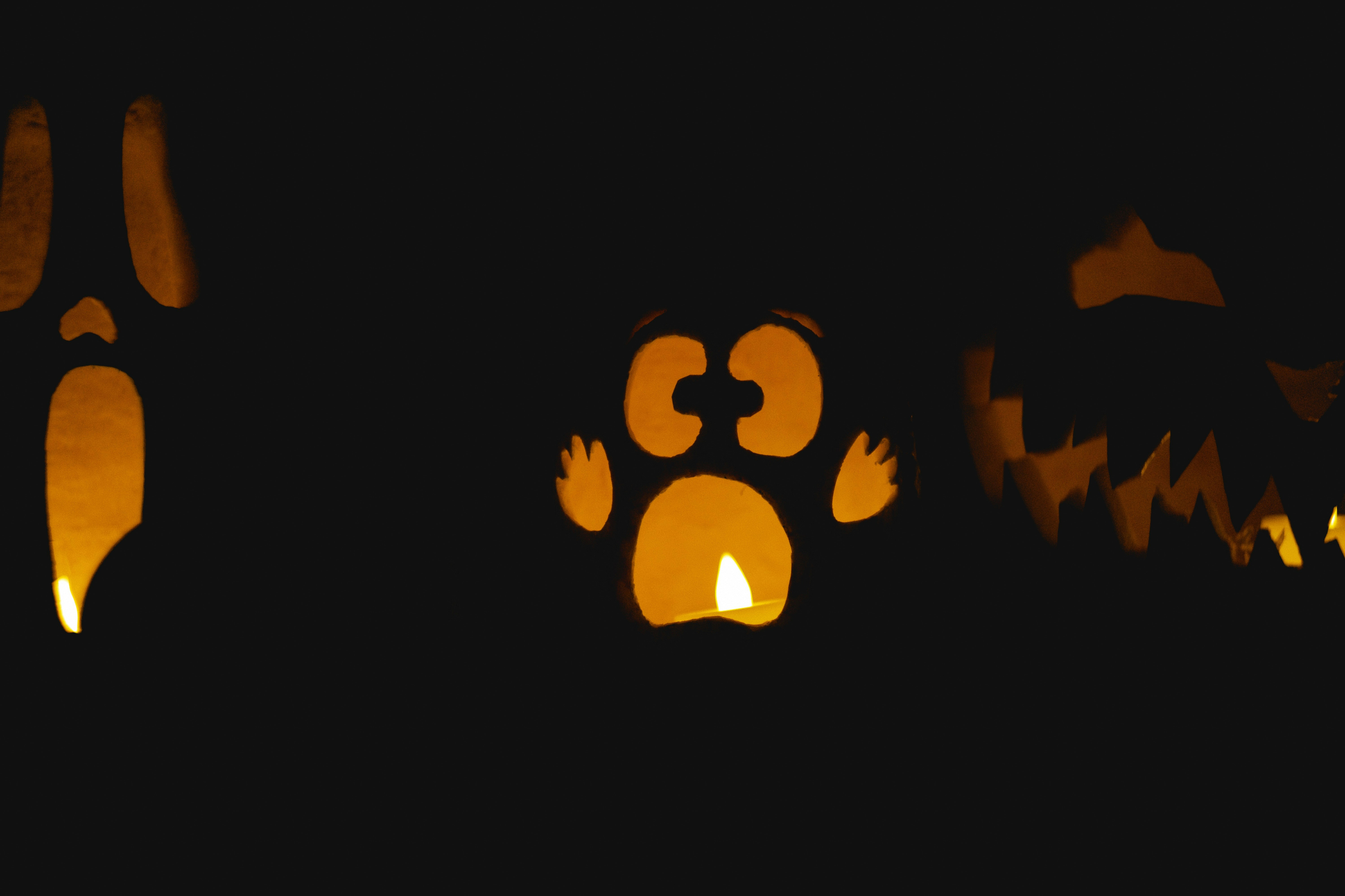 Stuff to do: Oct. 30-Nov. 5