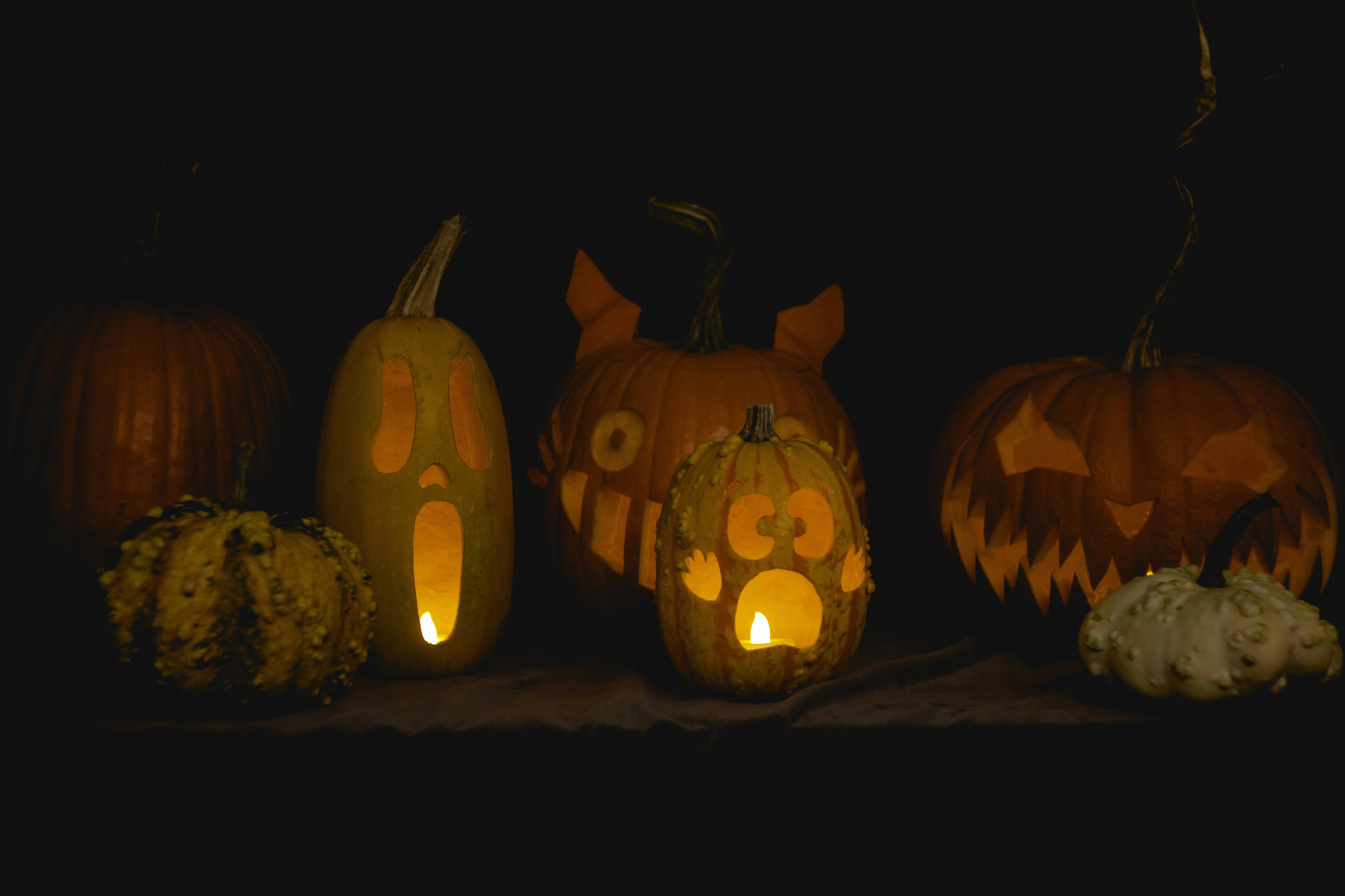 Trick-or-treating with Vortex