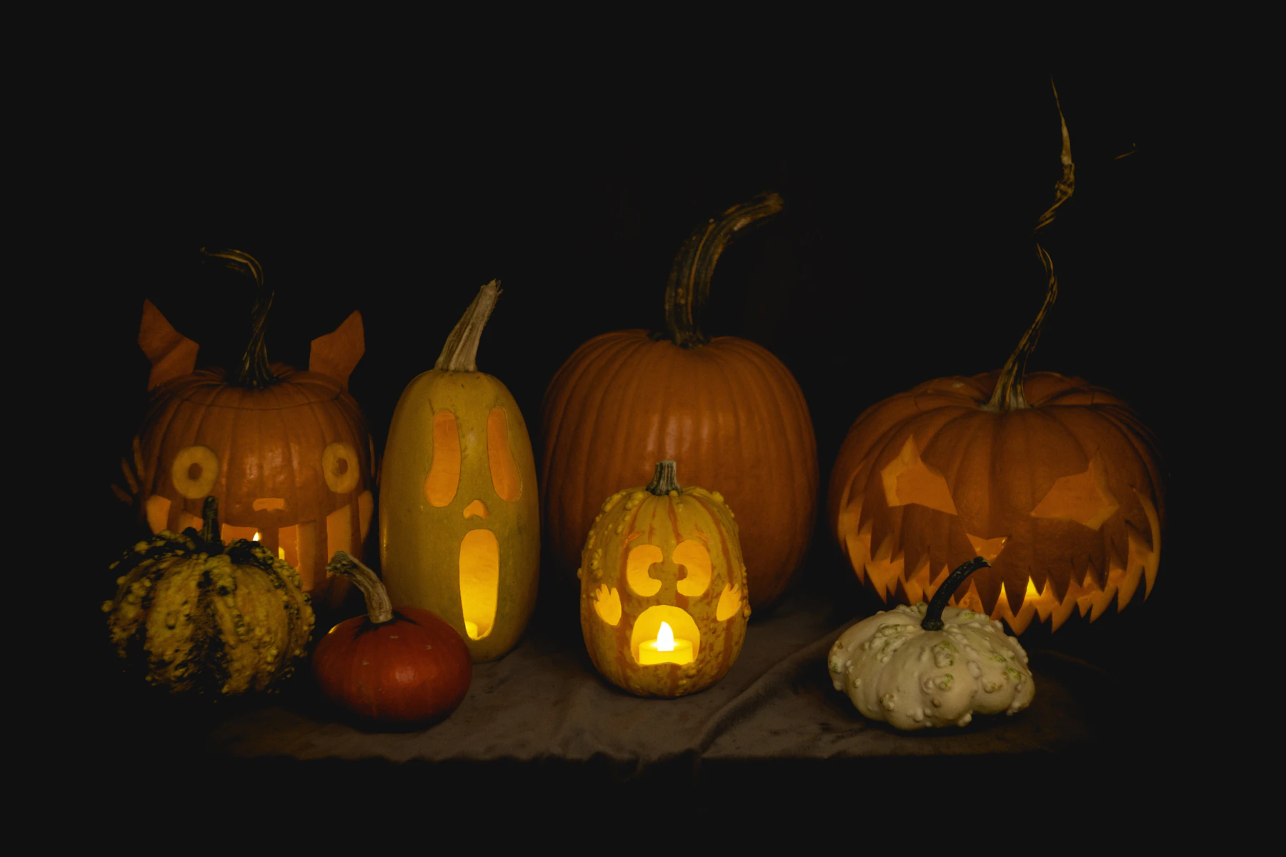 A row of carved pumpkins glowing on a table in the dark