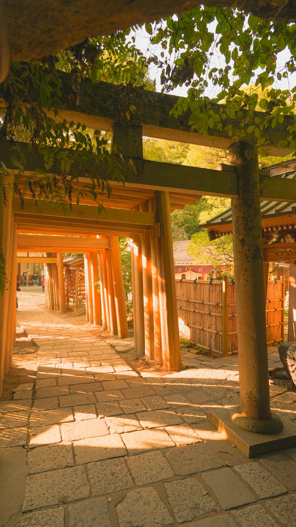 a walkway lined with trees and benches under a canopy