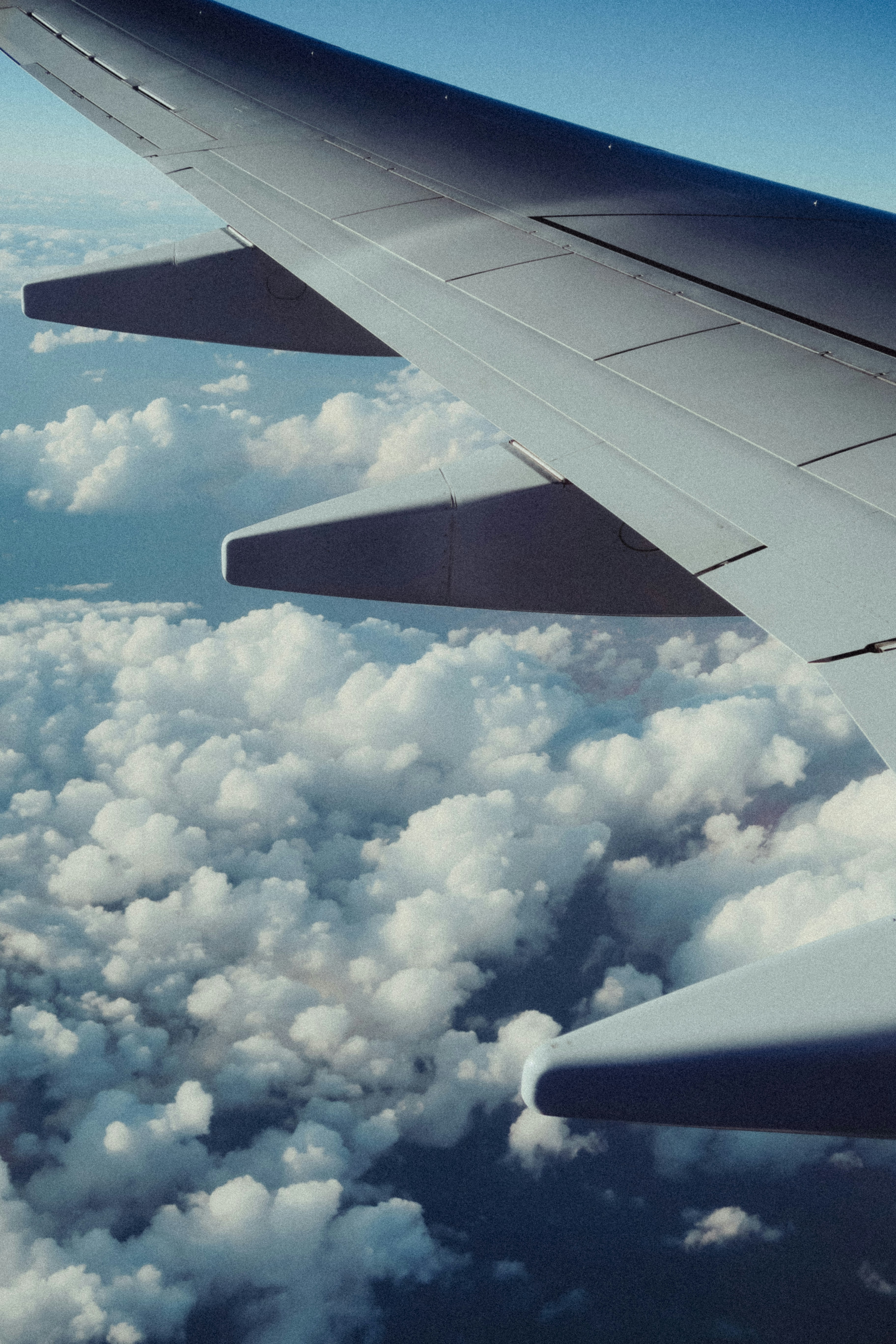 Photo by wesleyphotography