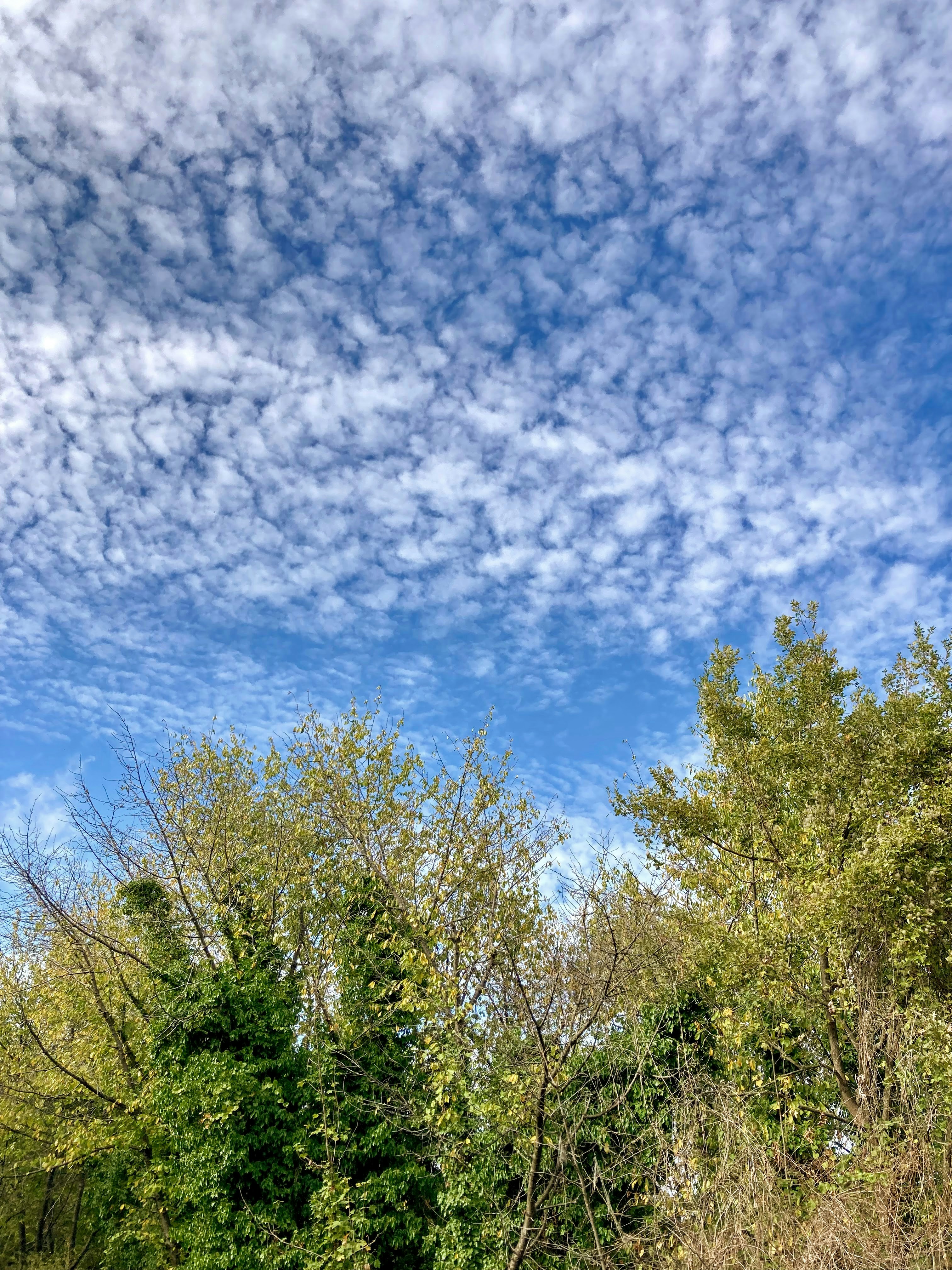 Photo by tolgakocoglu